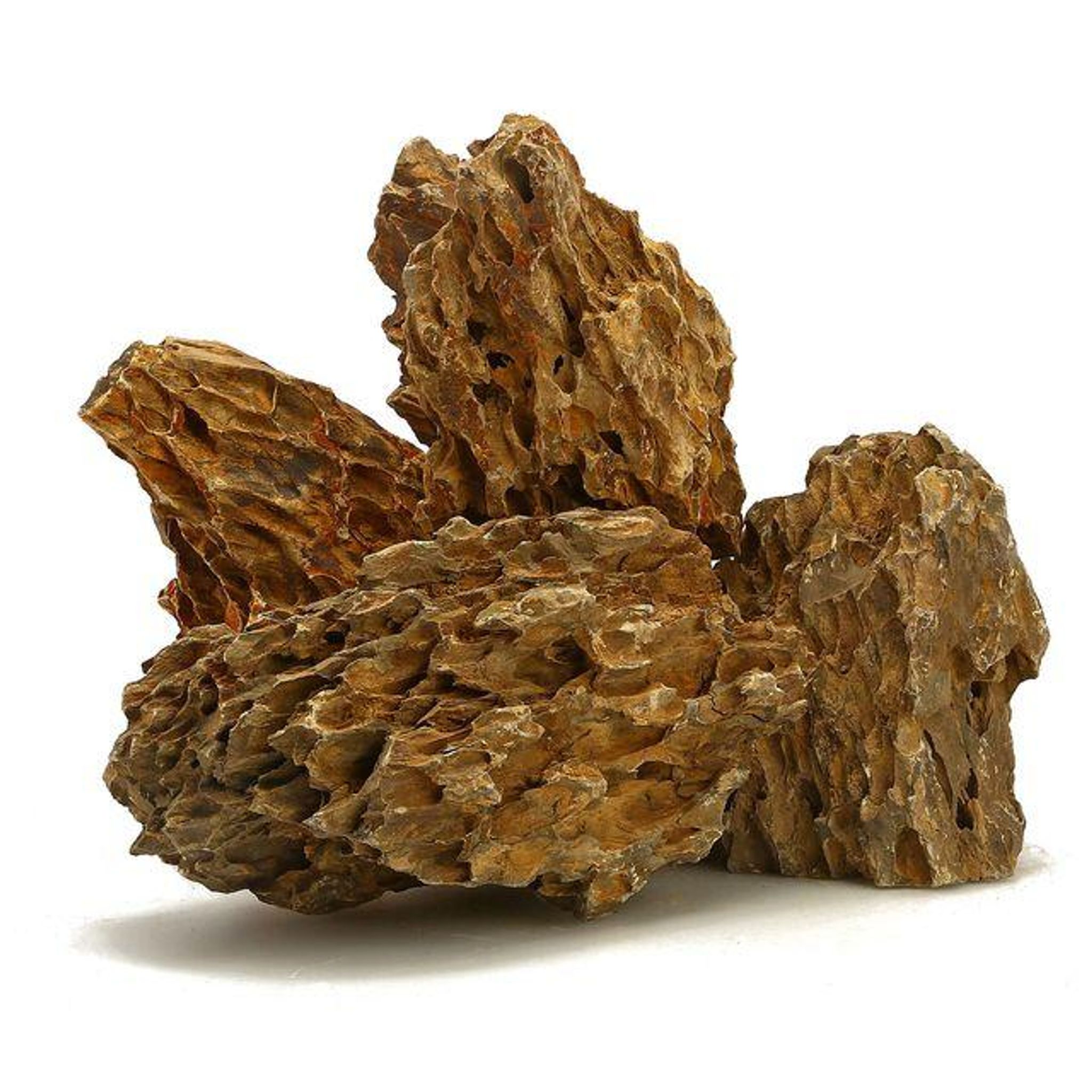 ANS Dragon Rocks (S , M , L, XL) 20kg Box