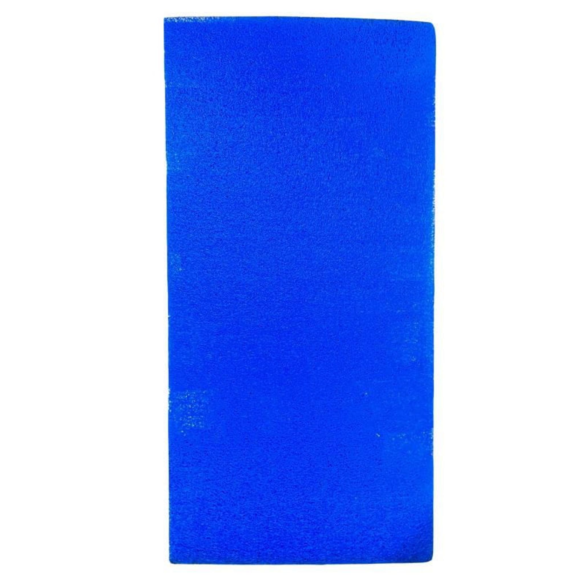 ANS Filtration Mat Blue (2m x 1m x 3.8cm)