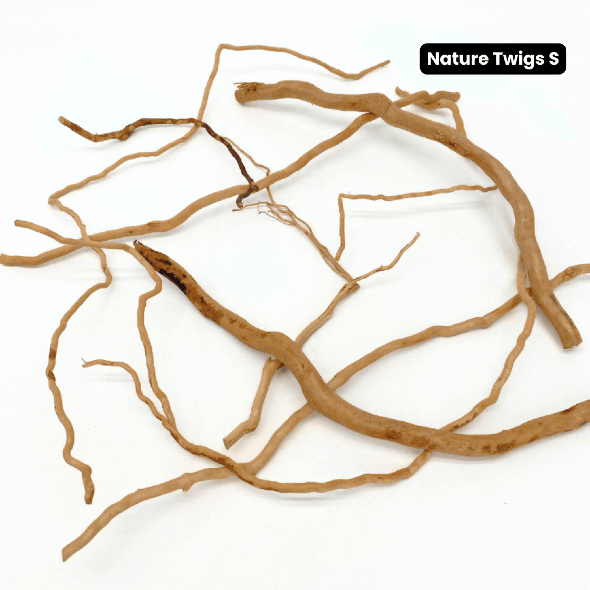 ANS Nature Twigs 100g/200g