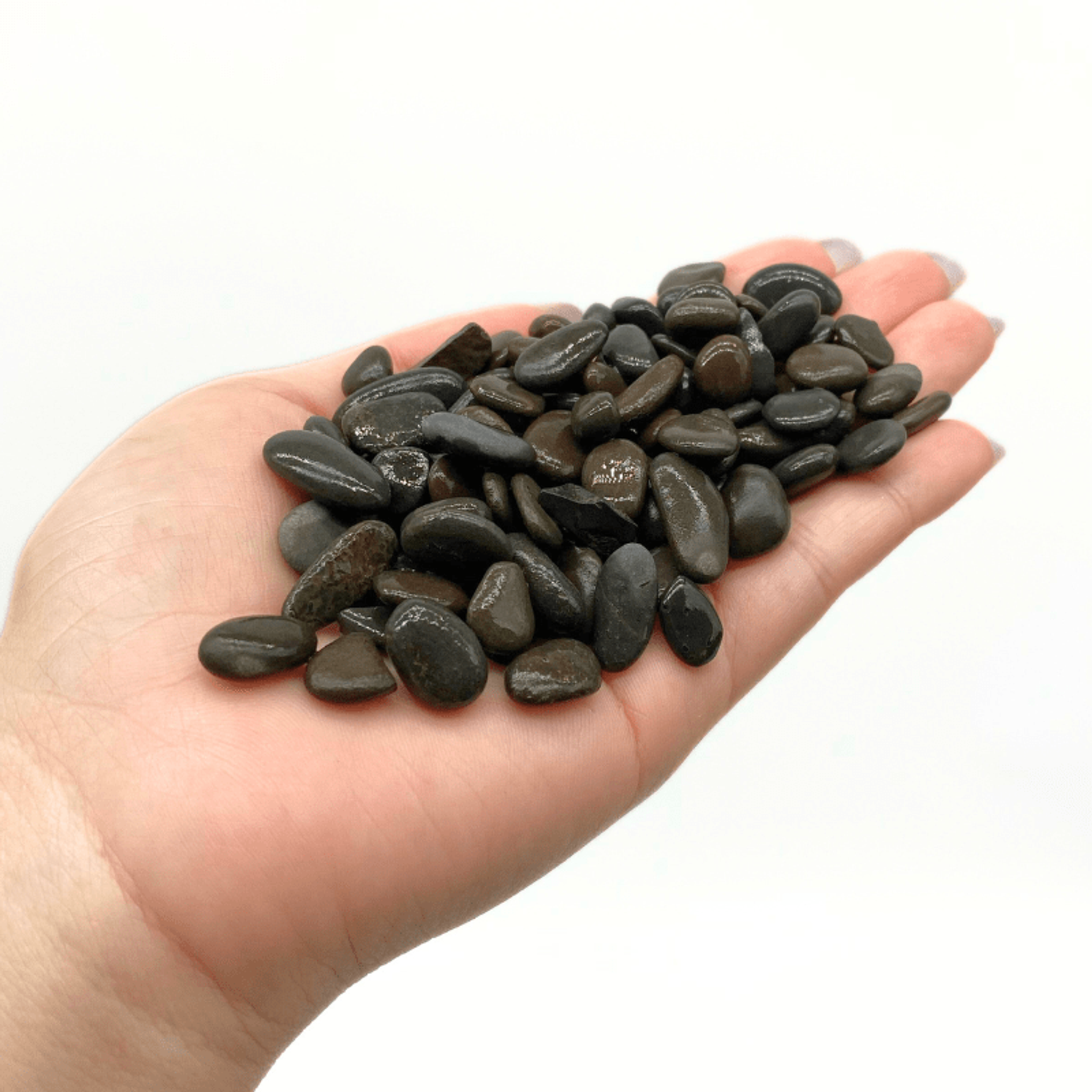 ANS Naturesand Nat Black Sand 1kg/5kg