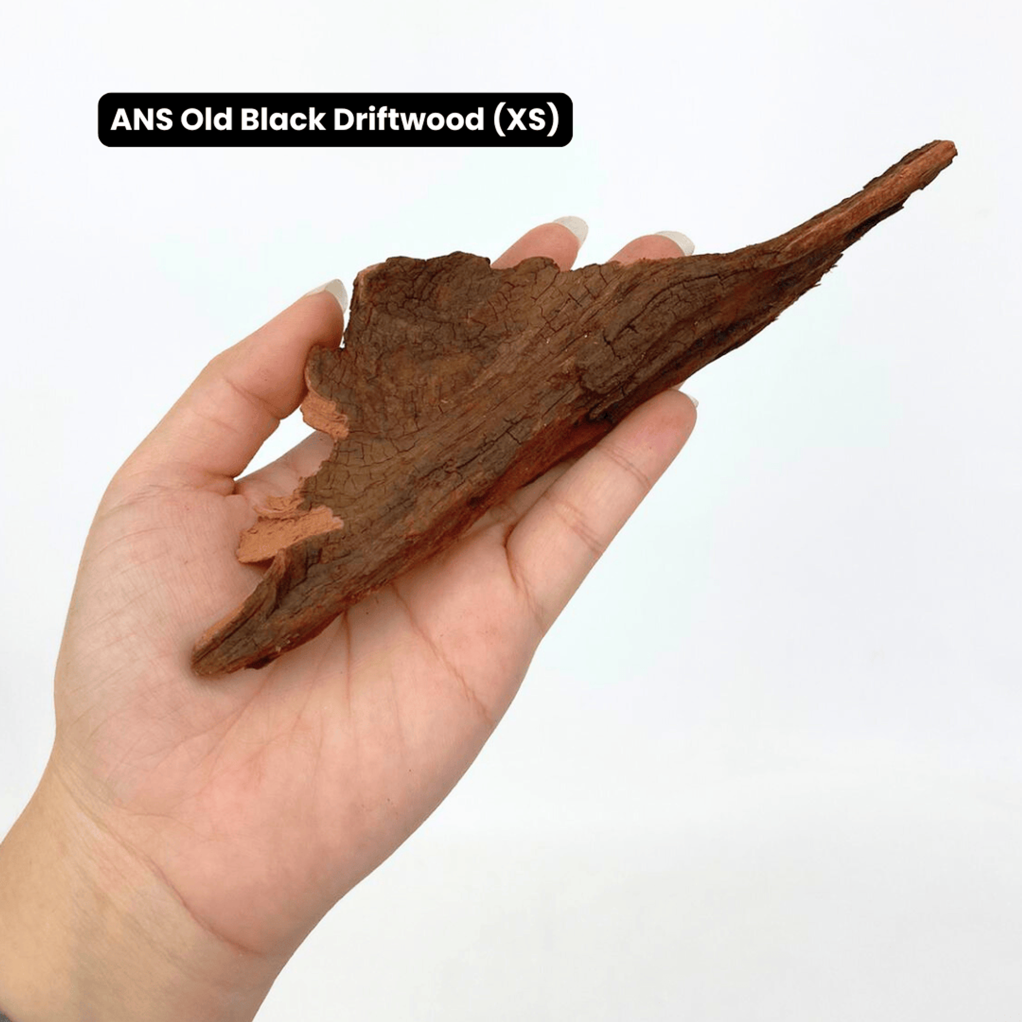 ANS Old Black Driftwood (Various size)