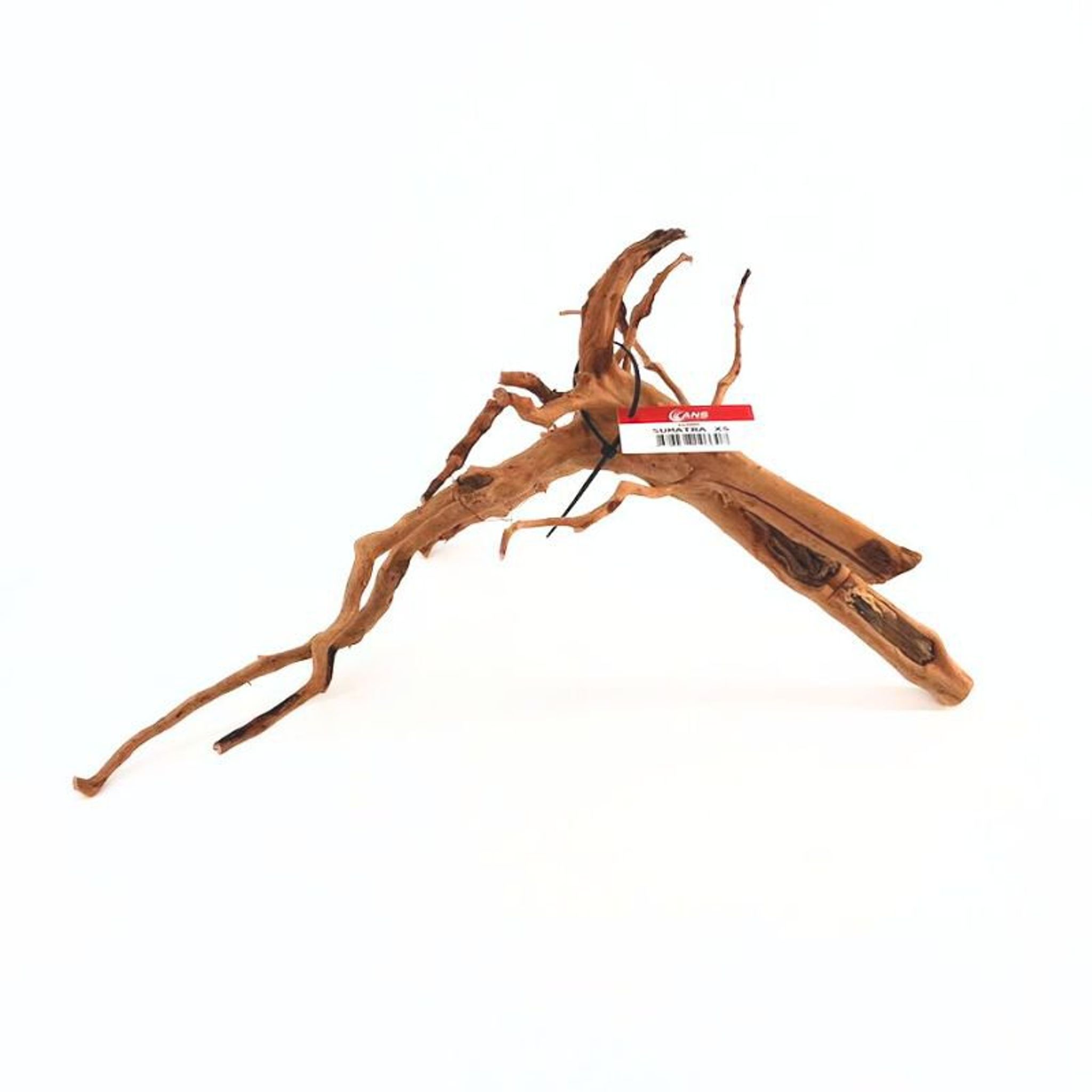 ANS Sumatra Driftwood (various size)