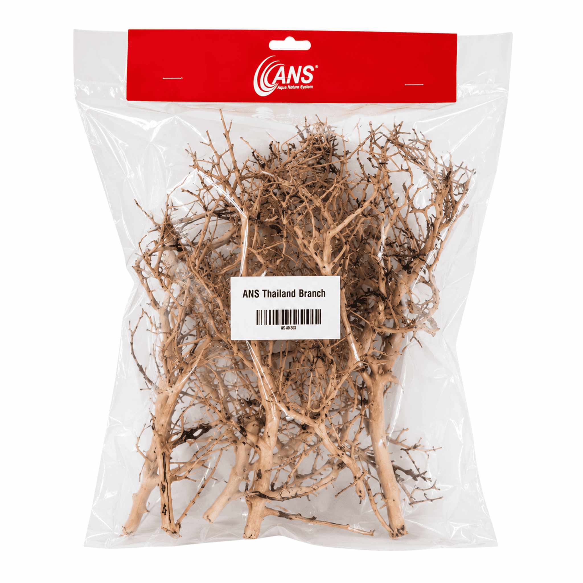ANS Thailand Branch Driftwood Pack