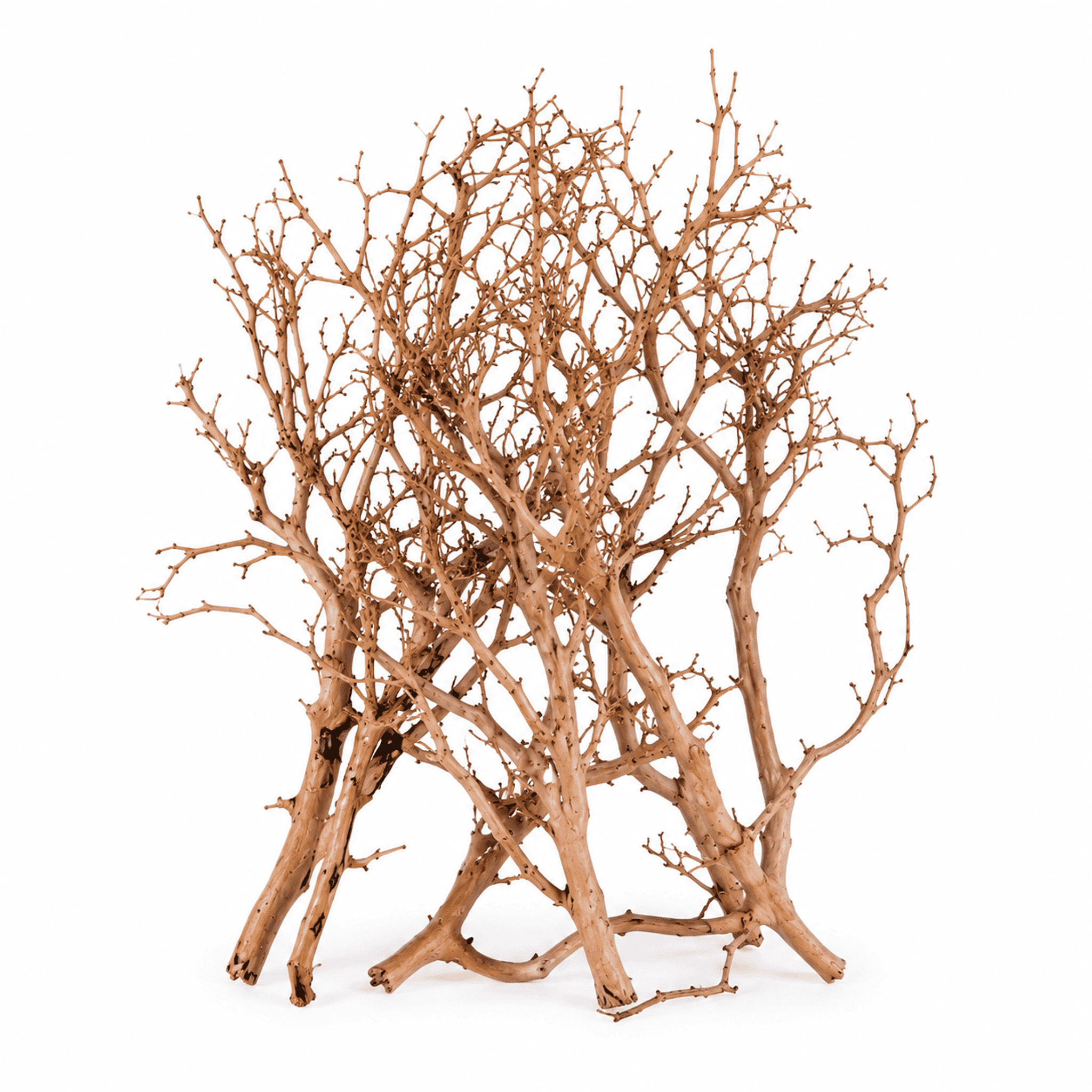 ANS Thailand Branch Driftwood Pack