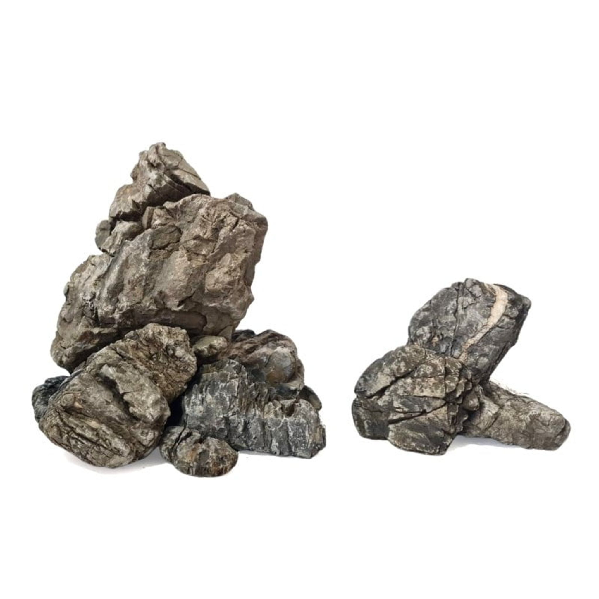 ANS Turly Rocks 20kg Box (S , M , L)