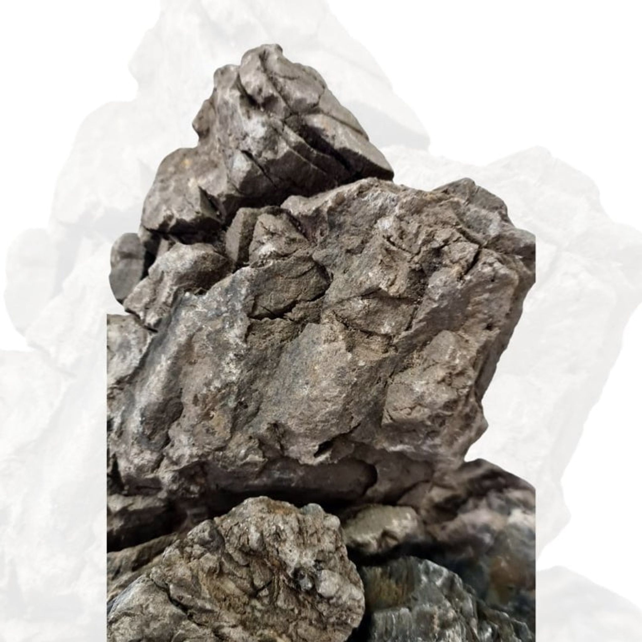 ANS Turly Rocks 20kg Box (S , M , L)