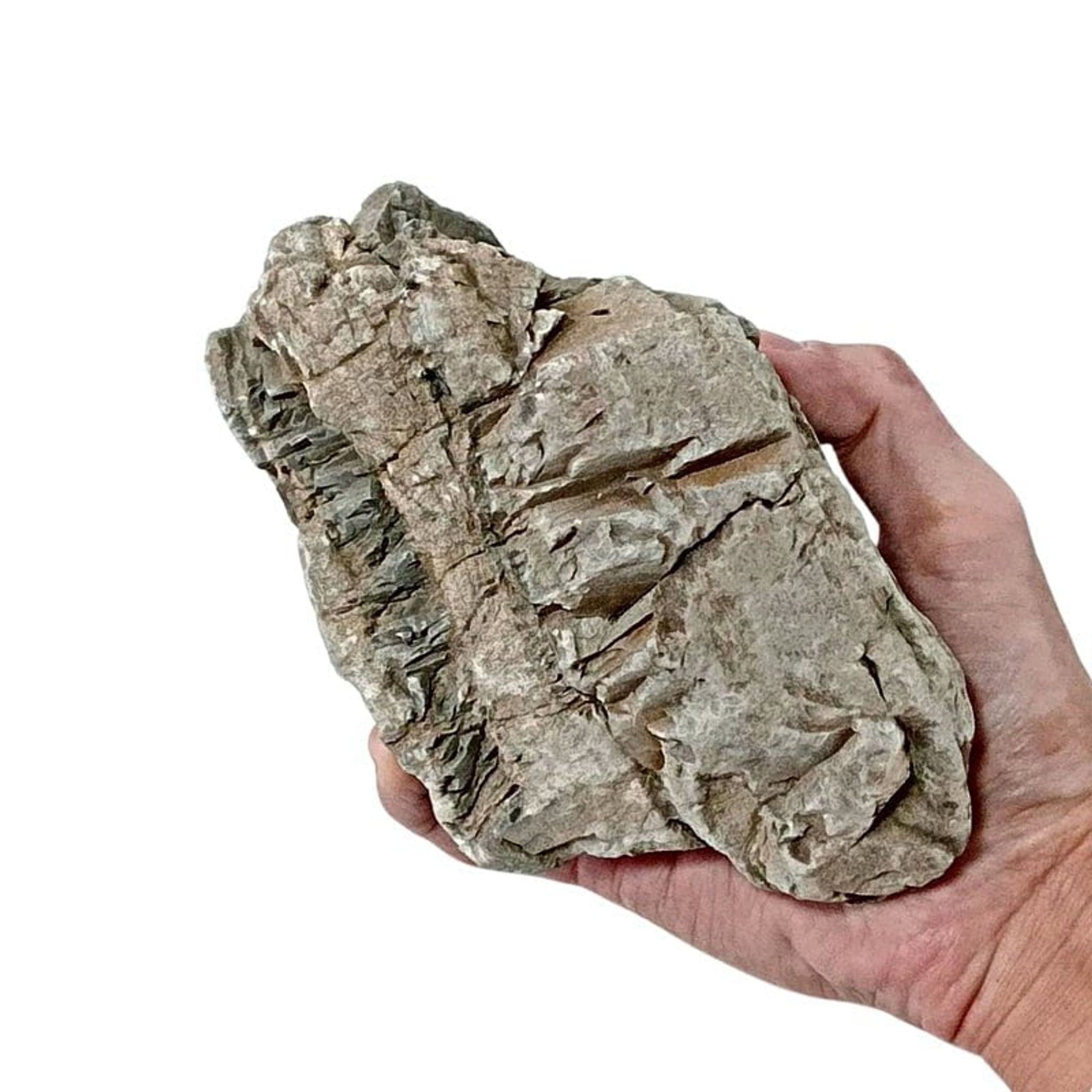 ANS Turly Rocks 20kg Box (S , M , L)