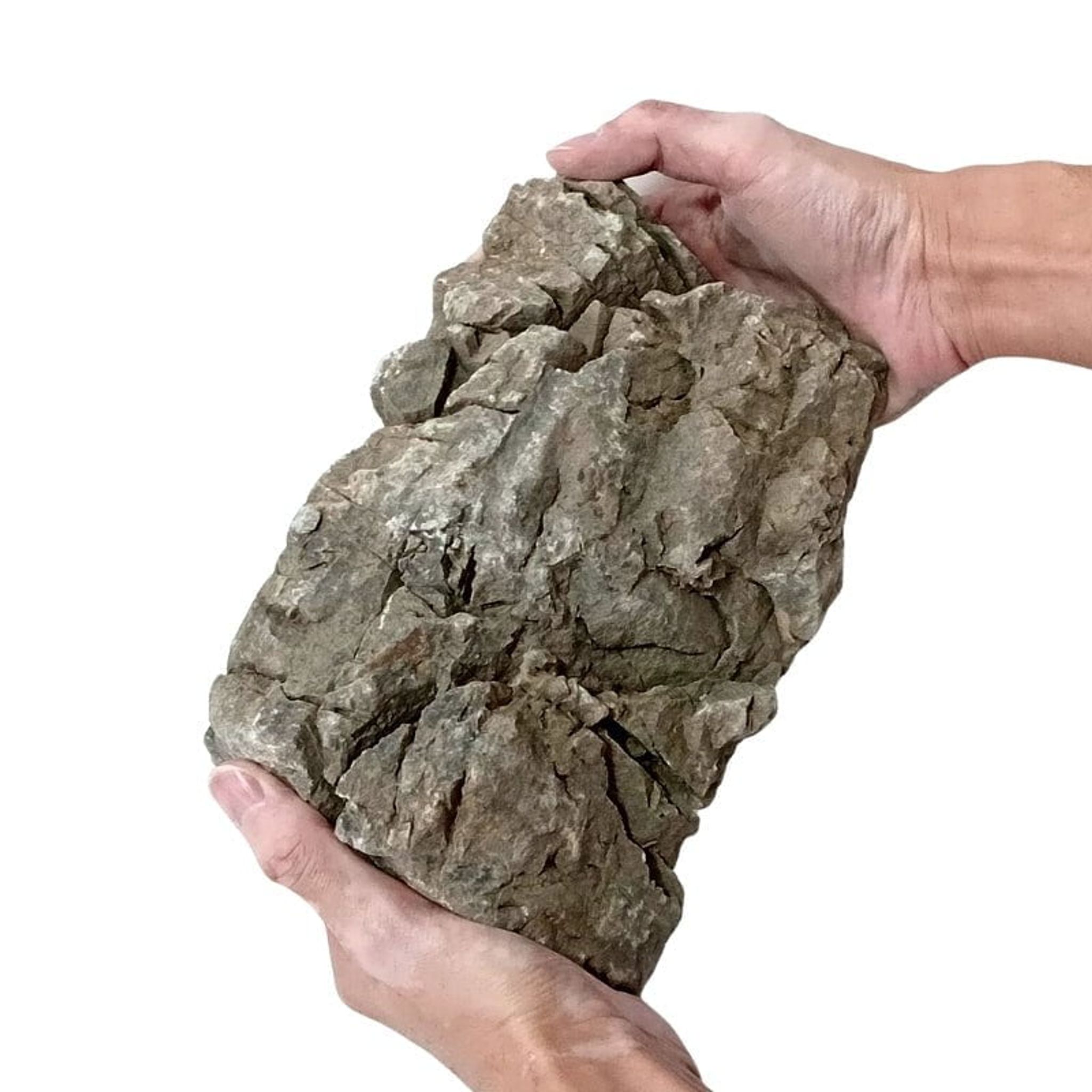 ANS Turly Rocks 20kg Box (S , M , L)