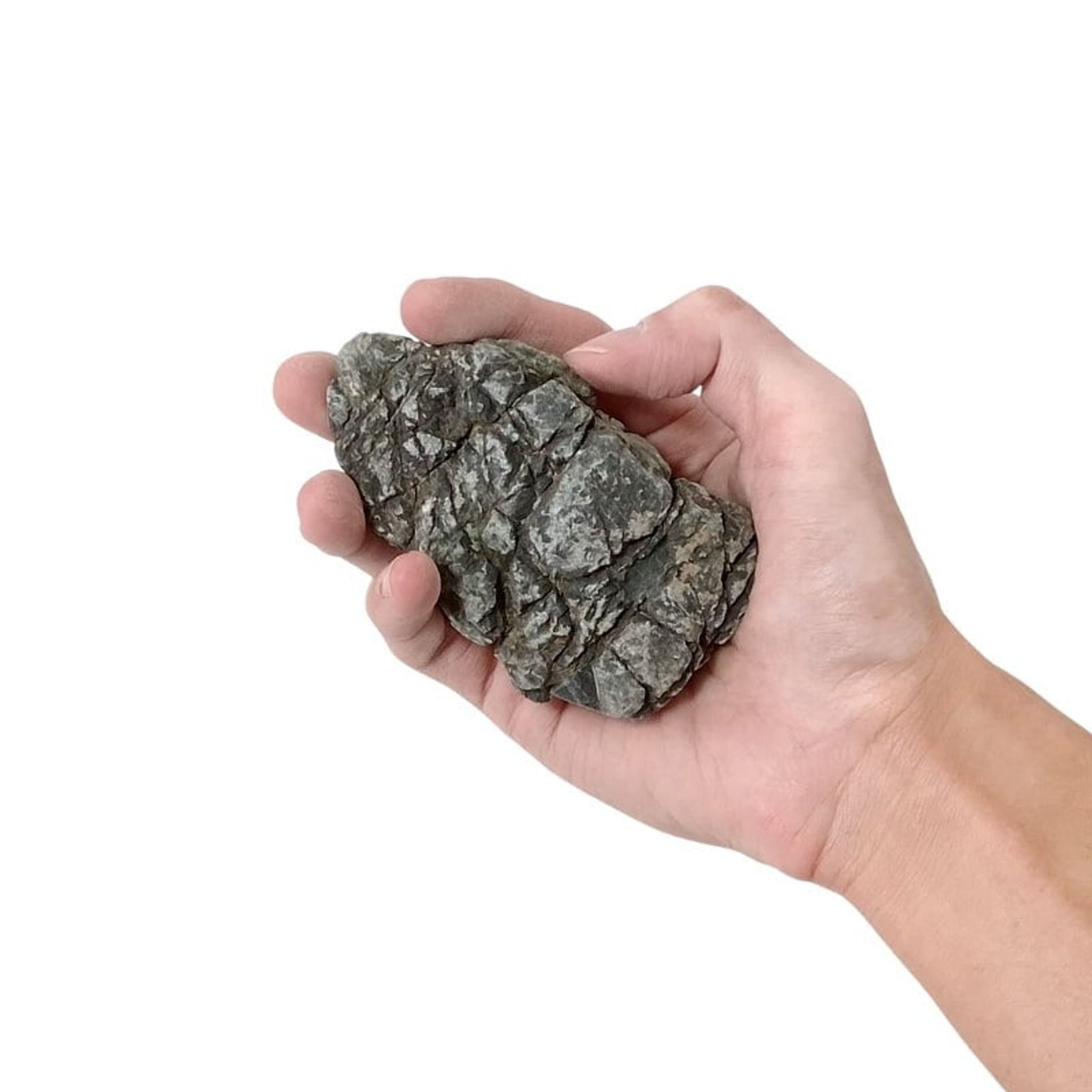ANS Turly Rocks 20kg Box (S , M , L)