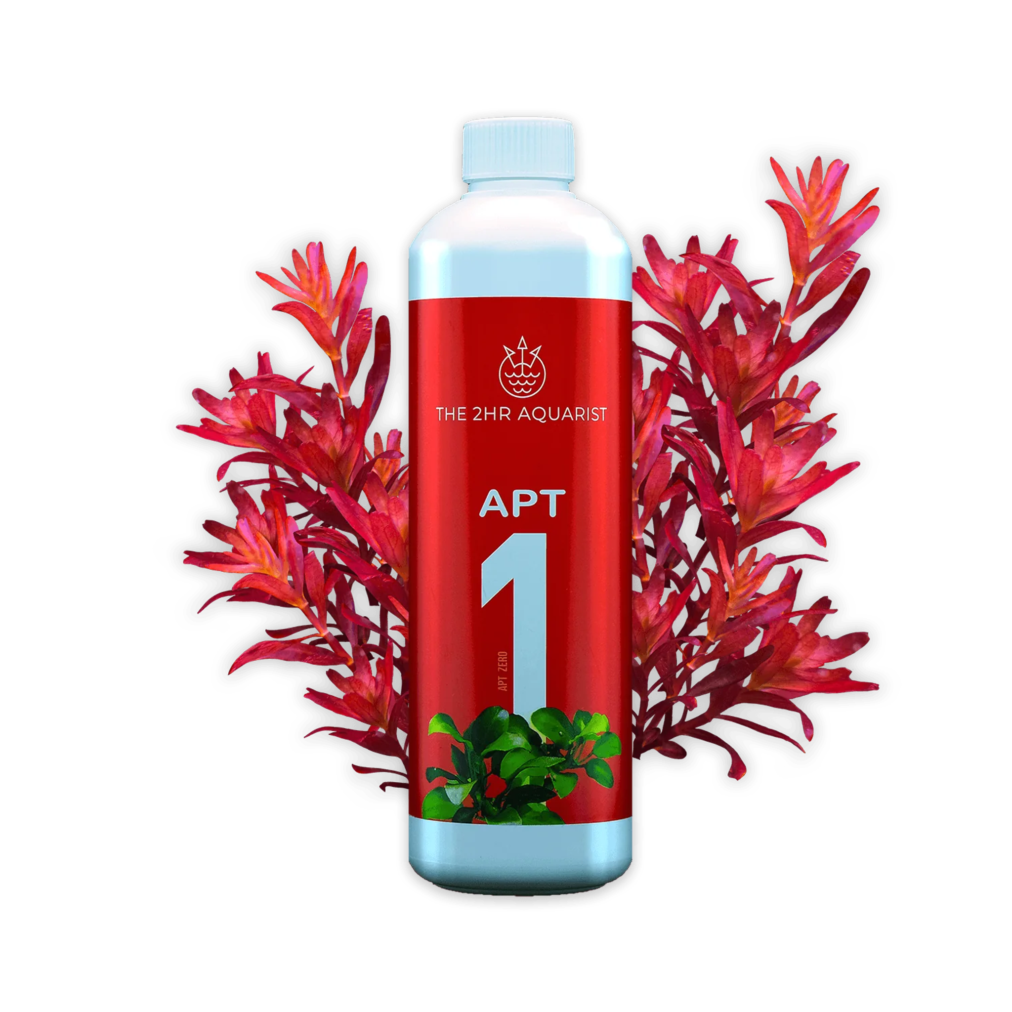 APT 1 - The 2Hr Aquarist