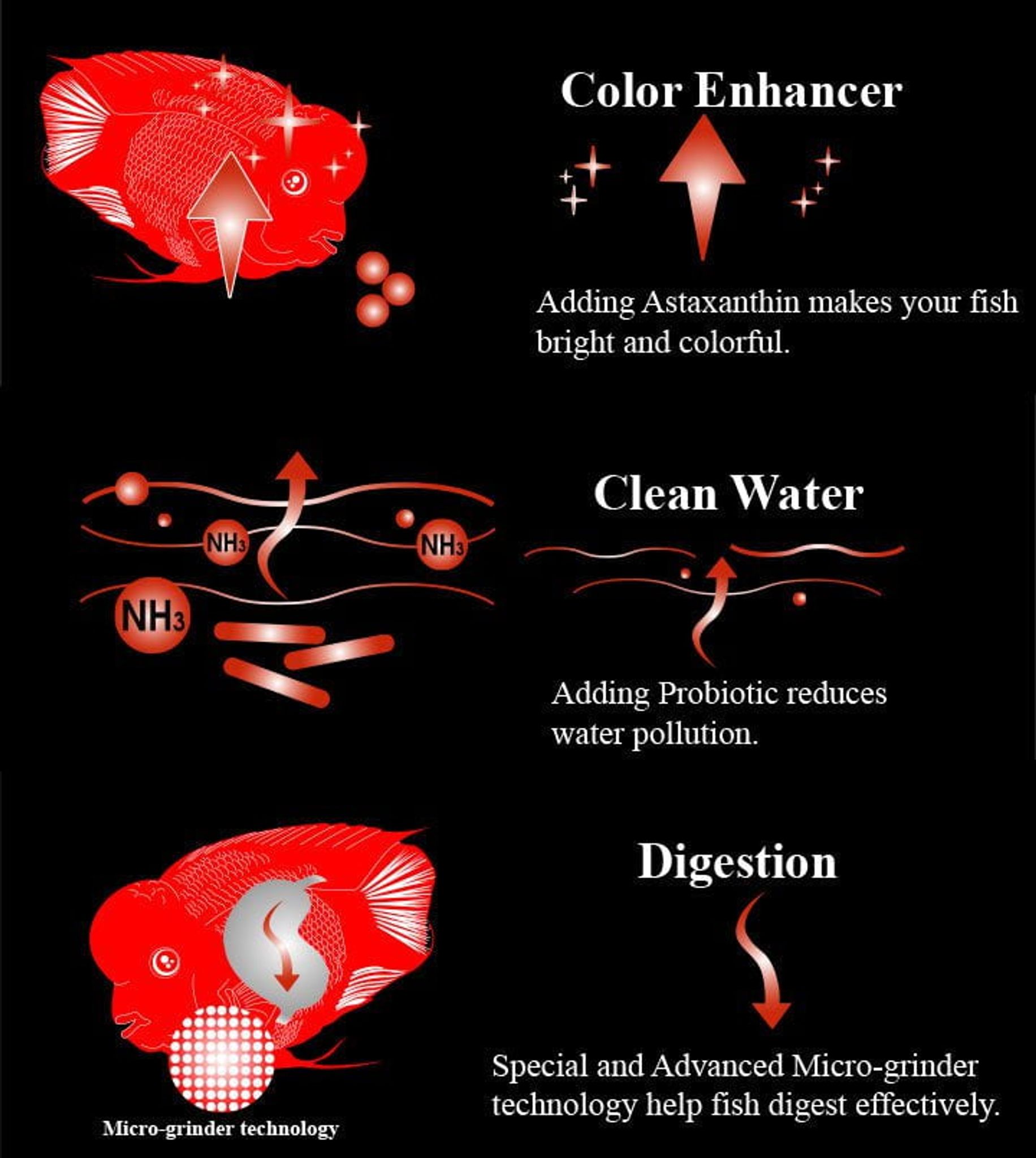 AquaMaster Fish Colour Red Parrot (388/1088g) with natto probiotics