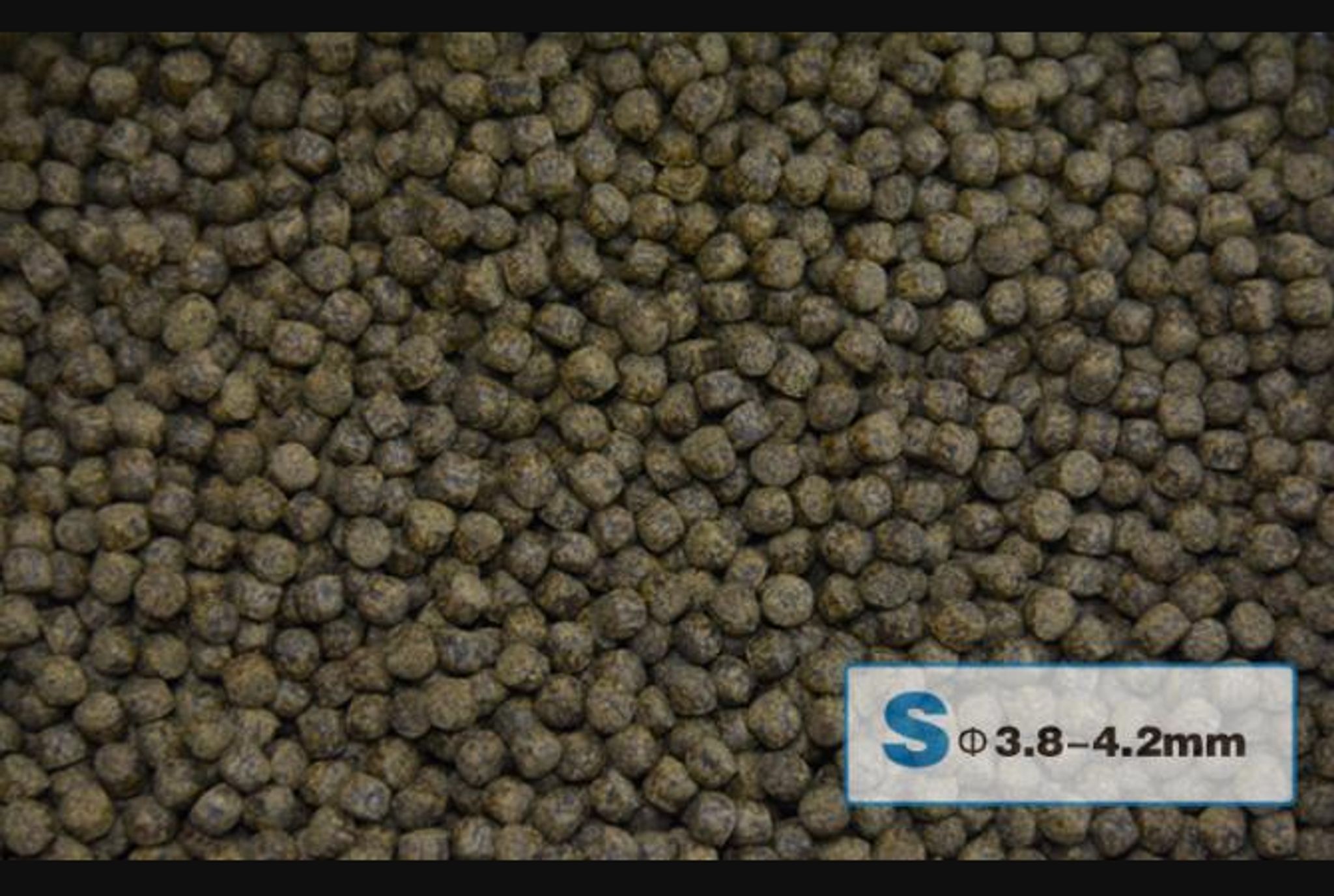 AquaMaster Koi Growth (1kg/5kg) with natto probiotics