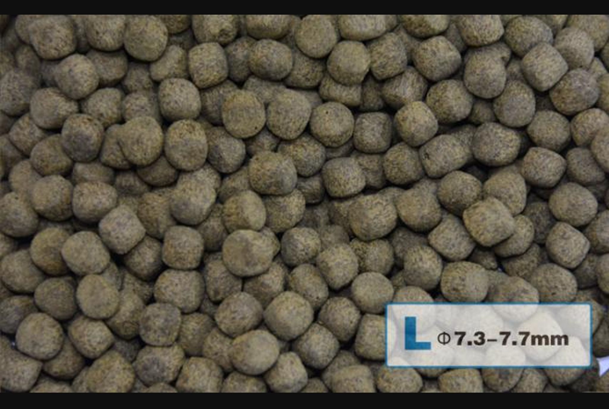 AquaMaster Koi Growth (1kg/5kg) with natto probiotics
