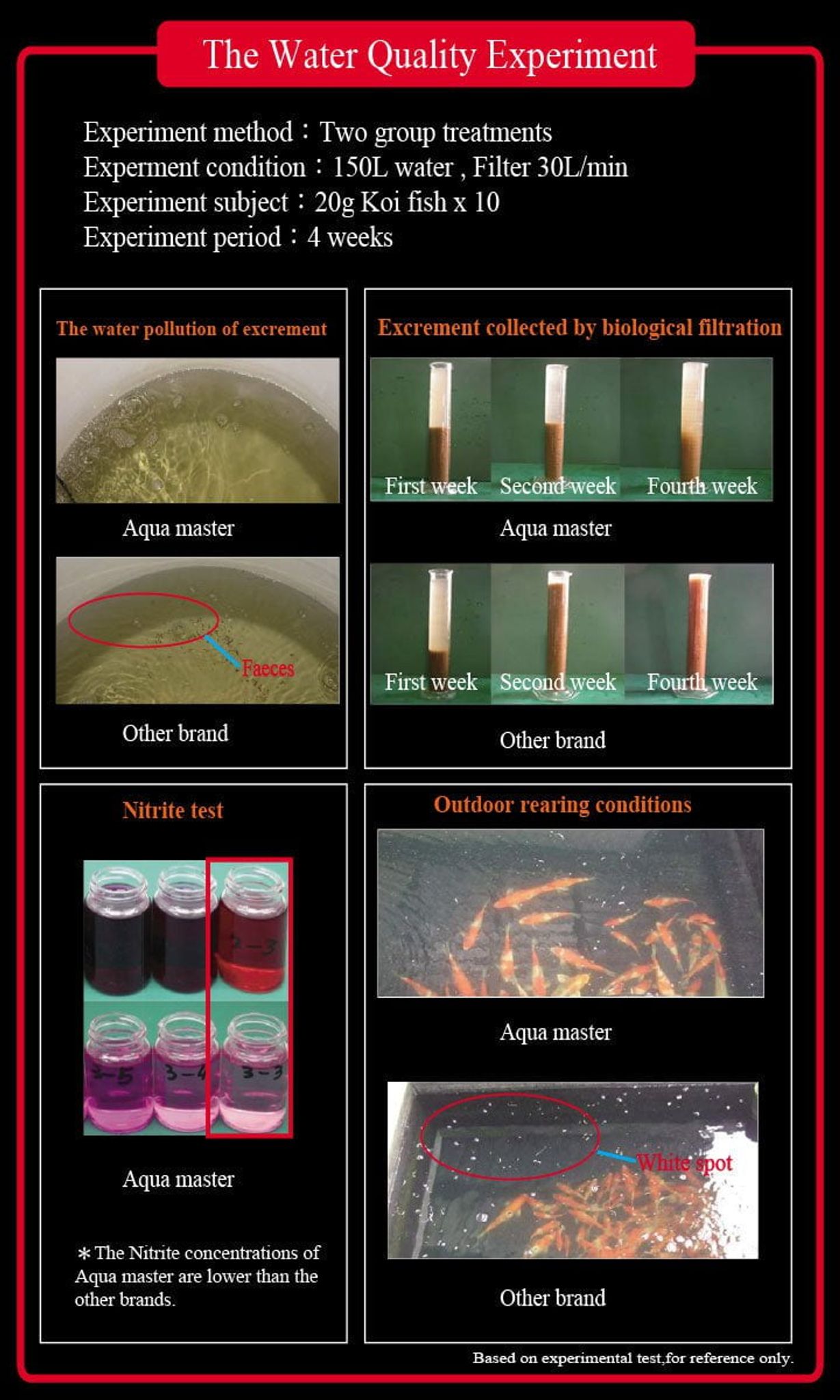 AquaMaster Koi Wheat Germ (1kg/5kg) with natto probiotics