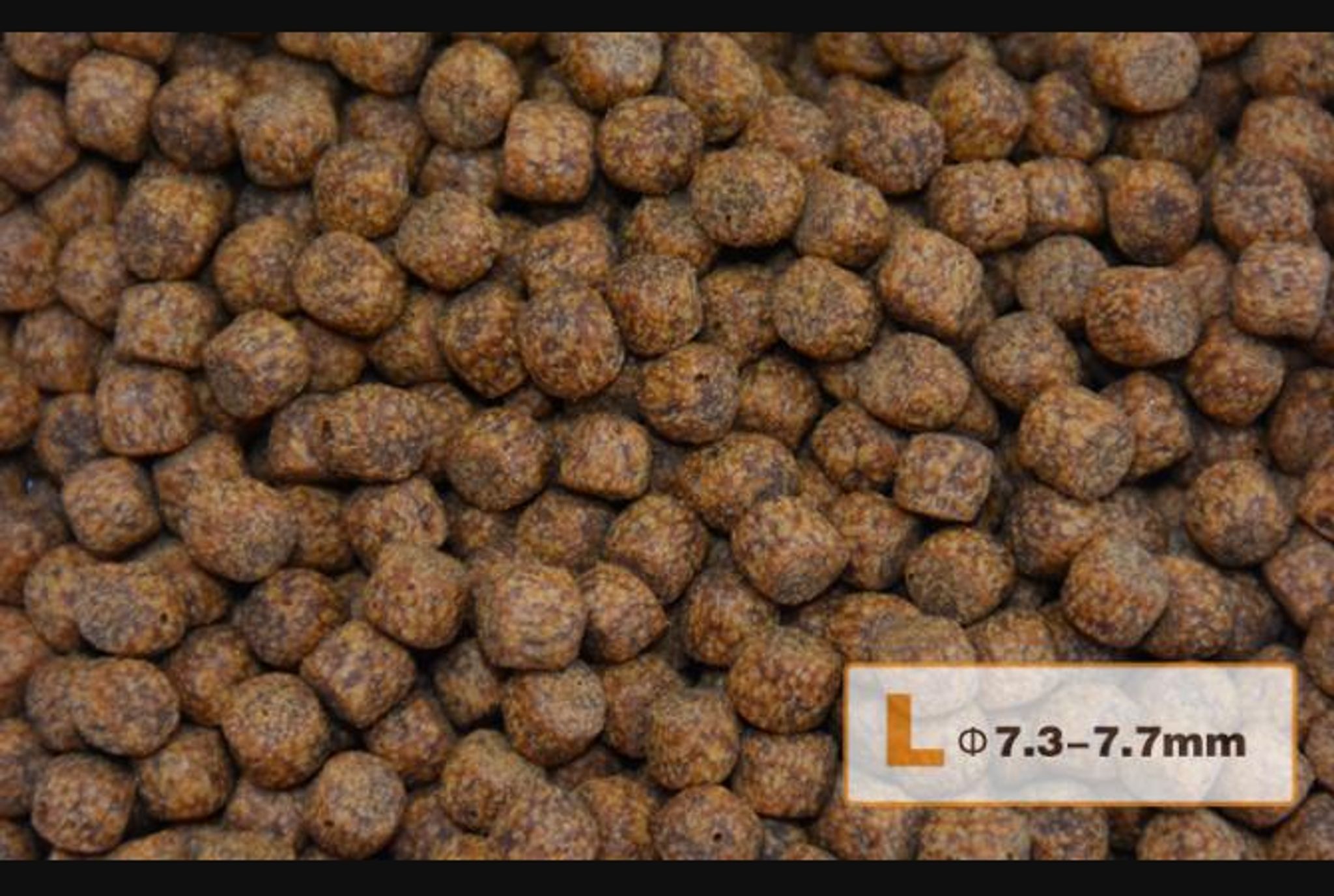 AquaMaster Koi Wheat Germ (1kg/5kg) with natto probiotics