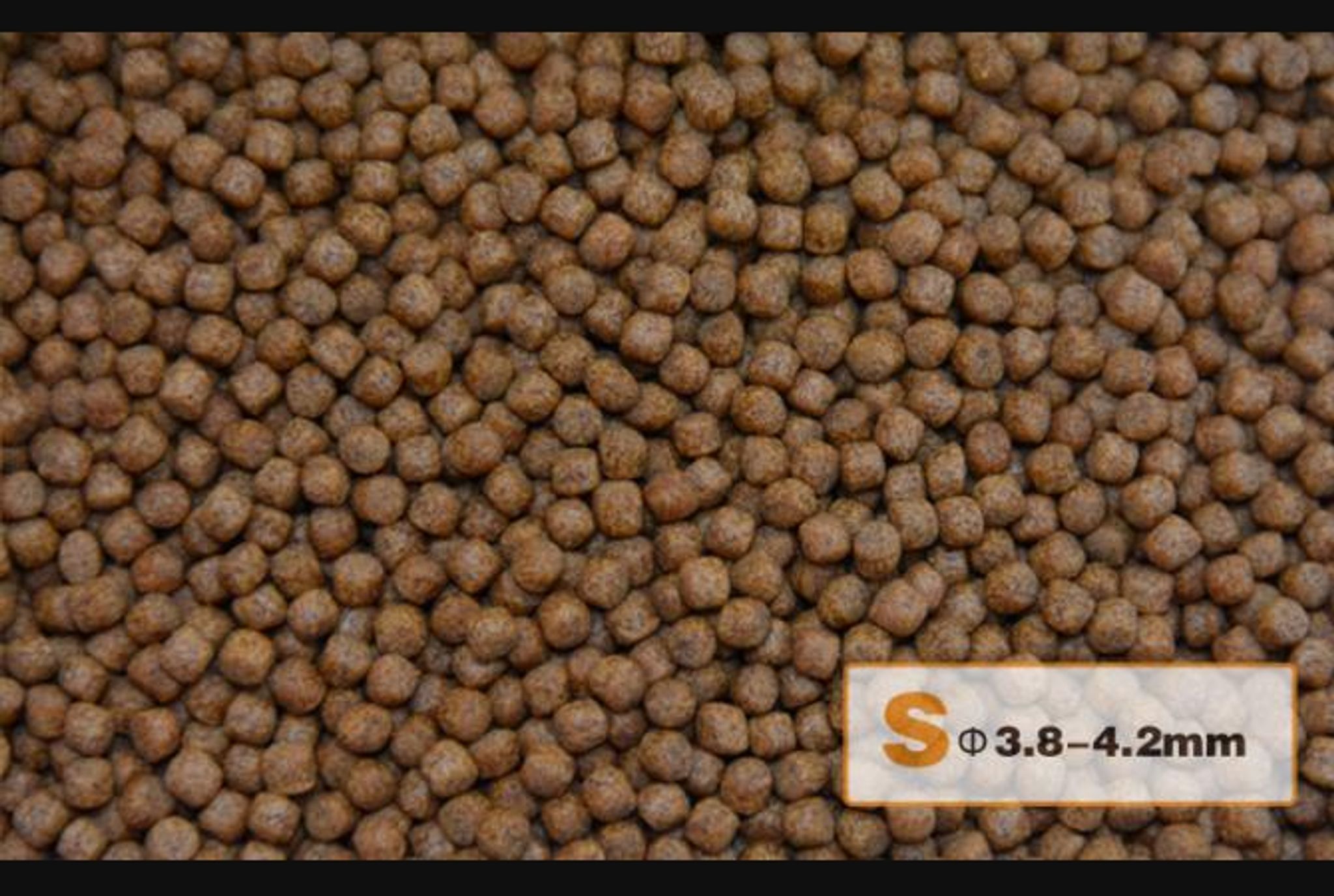 AquaMaster Koi Wheat Germ (1kg/5kg) with natto probiotics