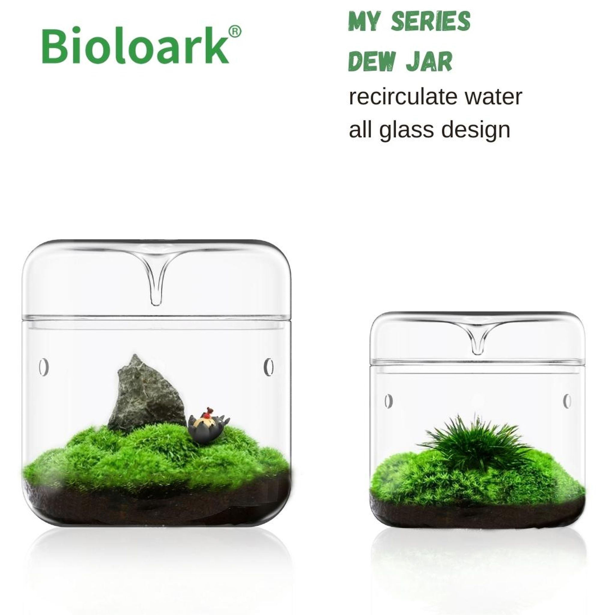 BIOLOARK Dew Glass Cup (Micro Terrarium) MY Series