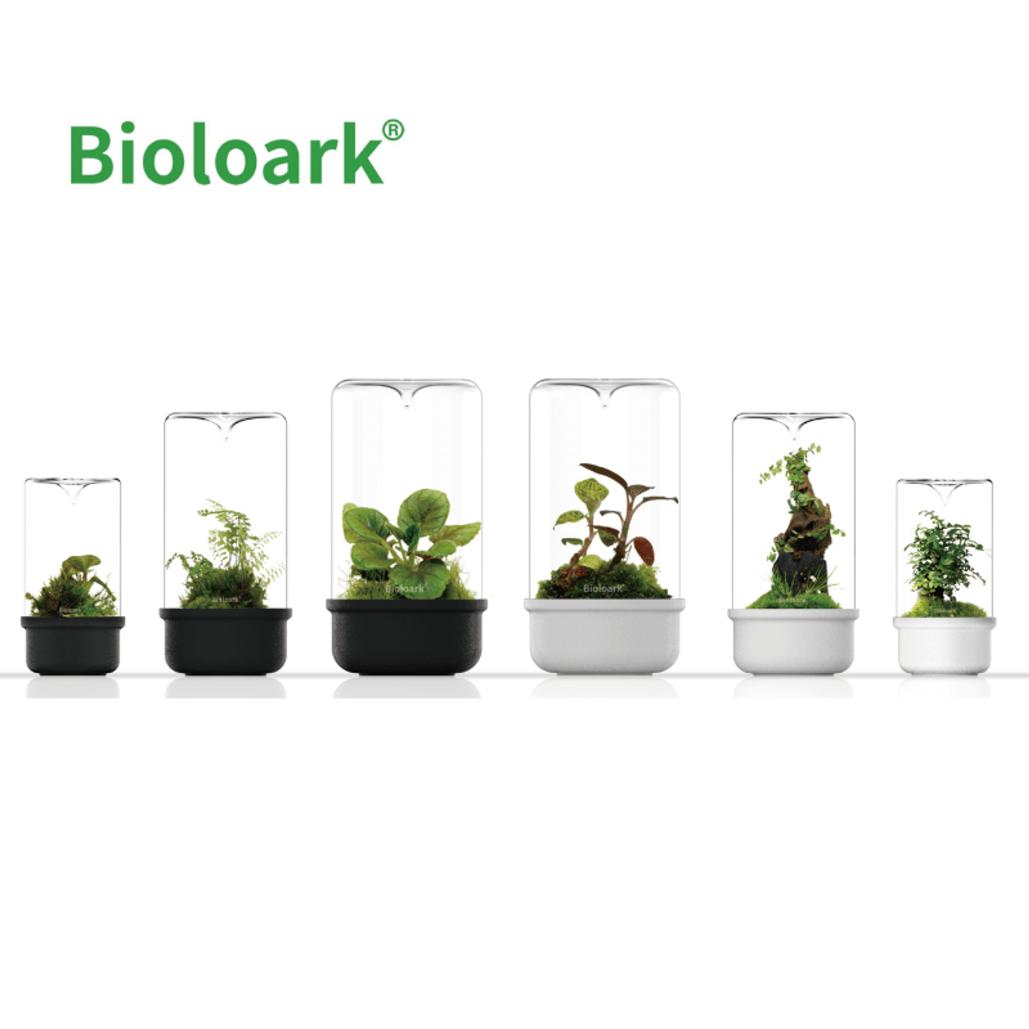 BIOLOARK - Bio Bottle Terrarium (MH-80/100/120) (Black/White)