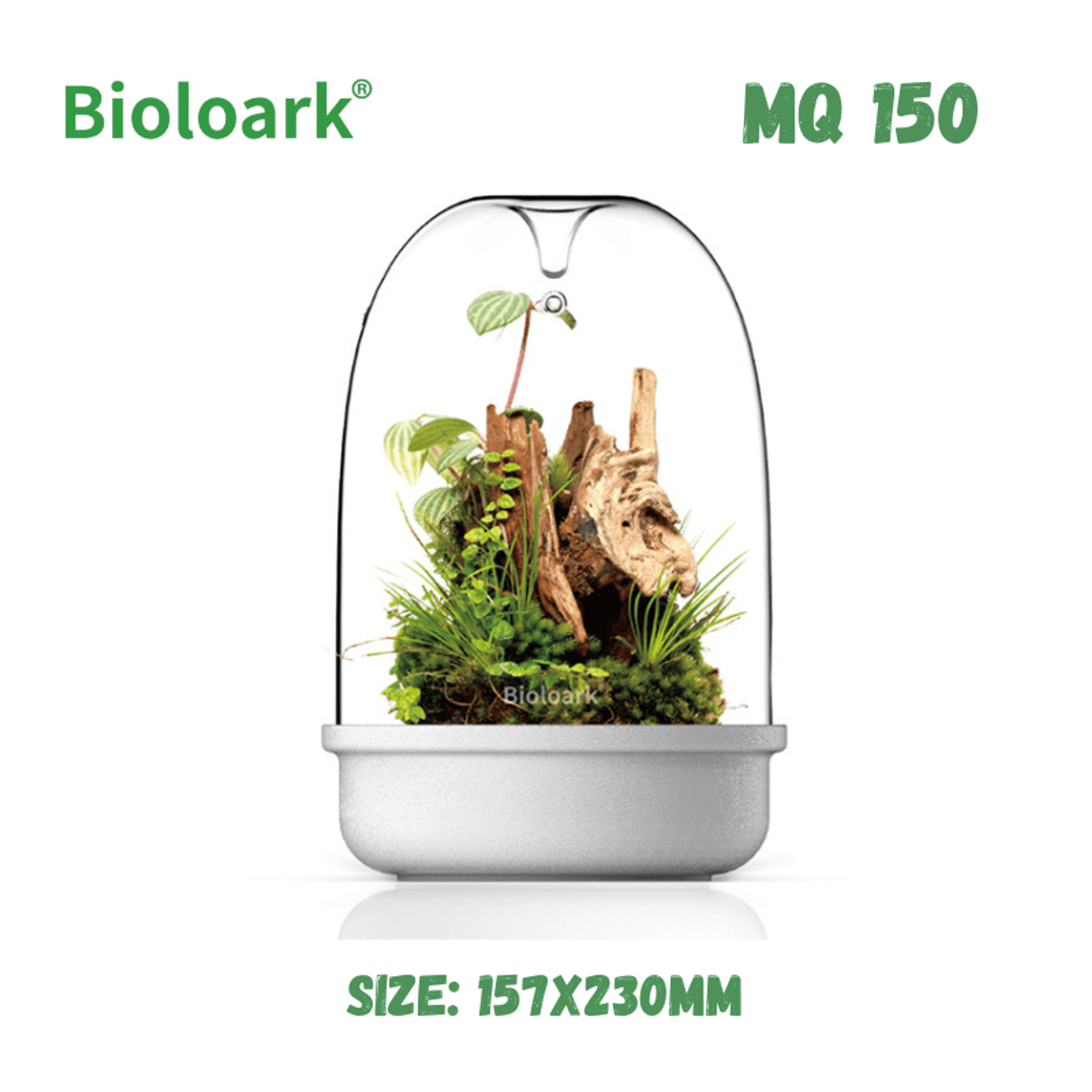 BIOLOARK - Bio Bottle Terrarium (MQ-150/175) (Black/White)