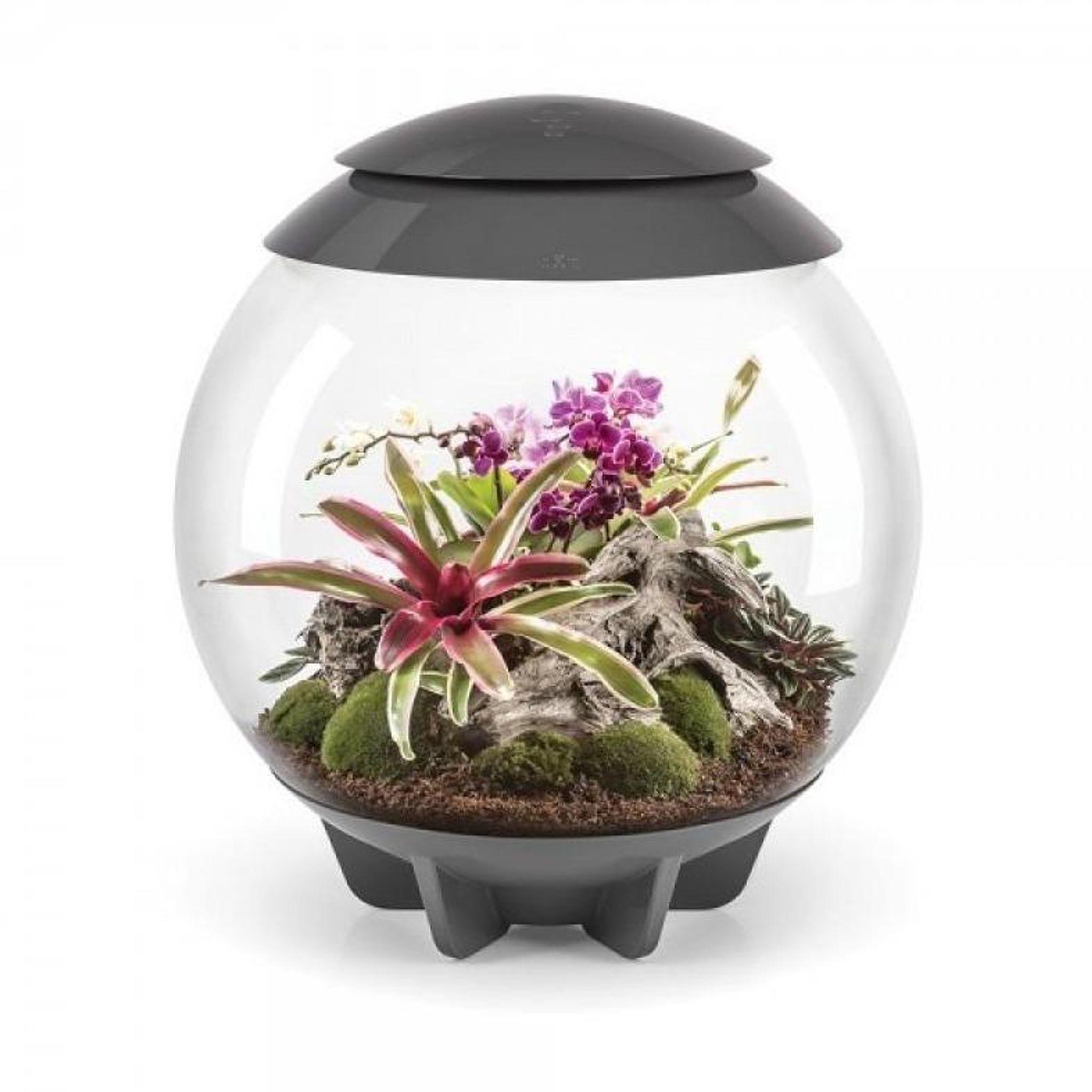 BiOrb Air 60 (Terrarium all in one with misting)