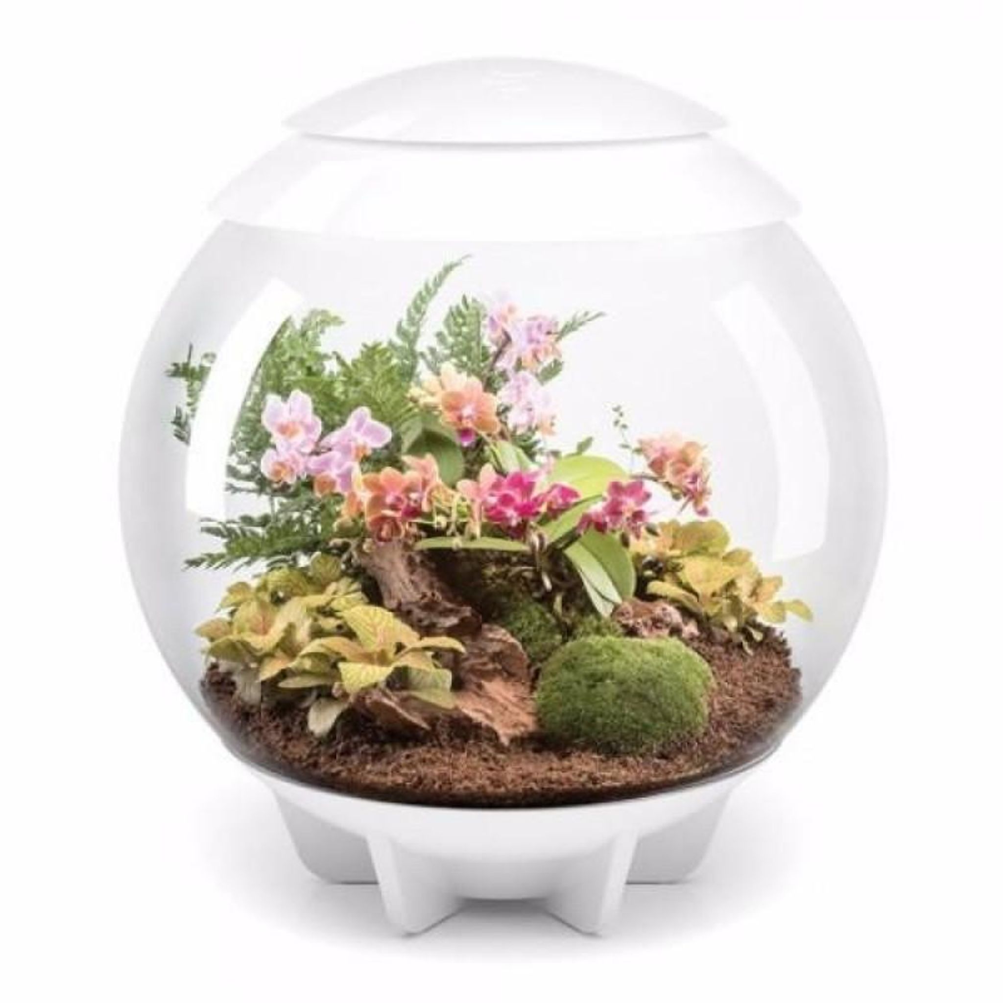 BiOrb Air 60 (Terrarium all in one with misting)