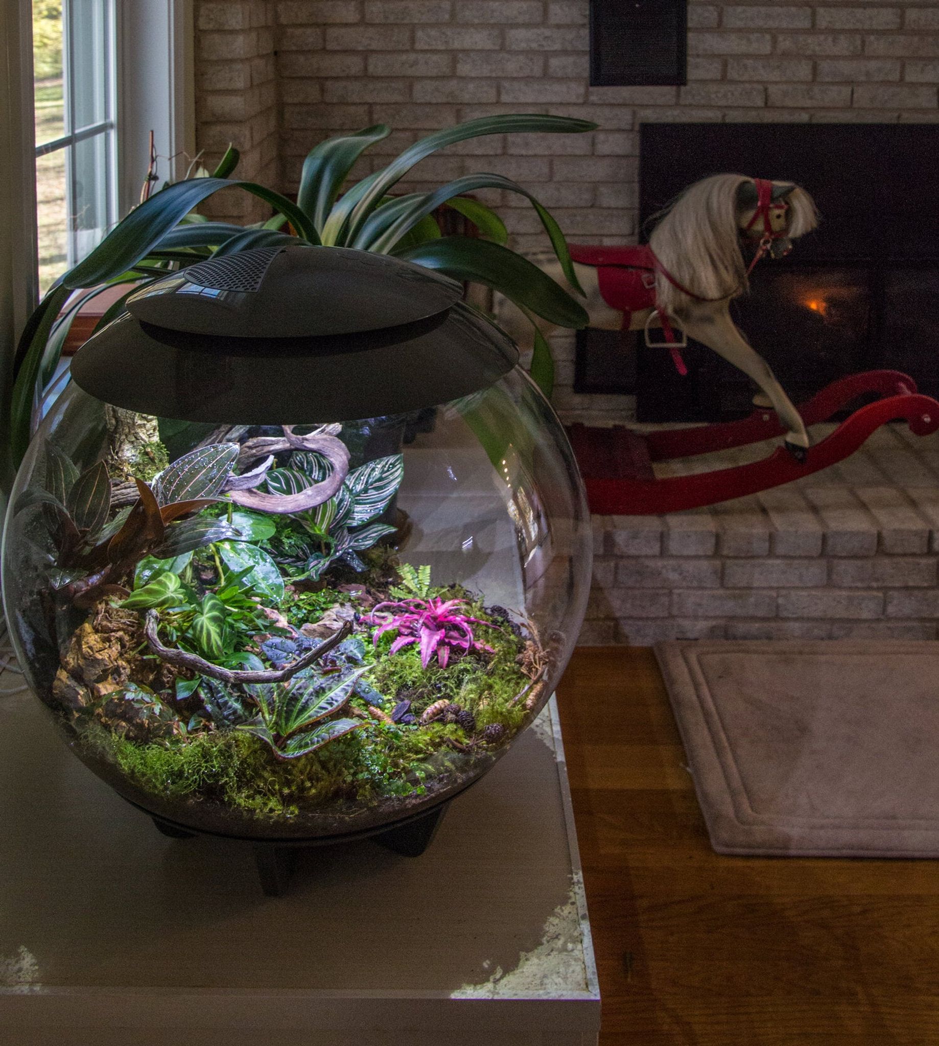 BiOrb Air 60 (Terrarium all in one with misting)