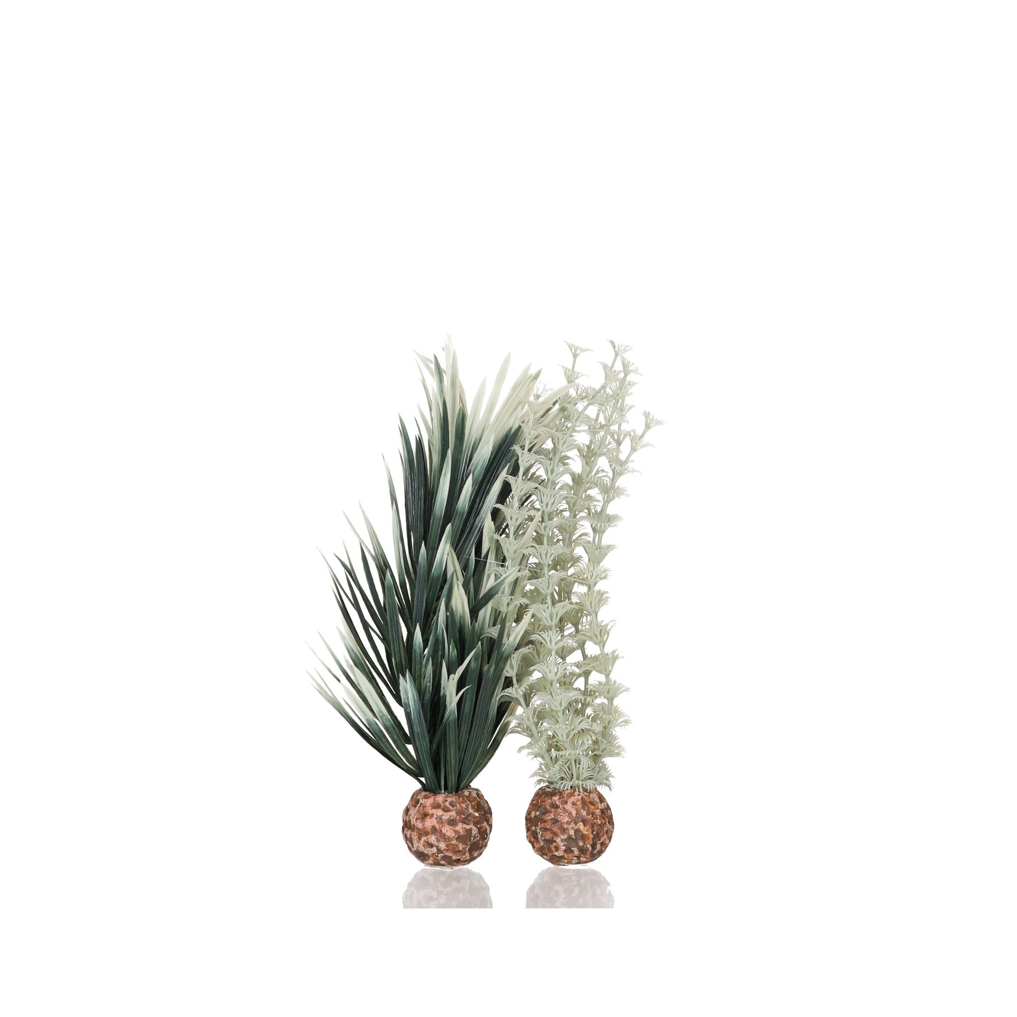 biOrb Ambulia Grey / Green