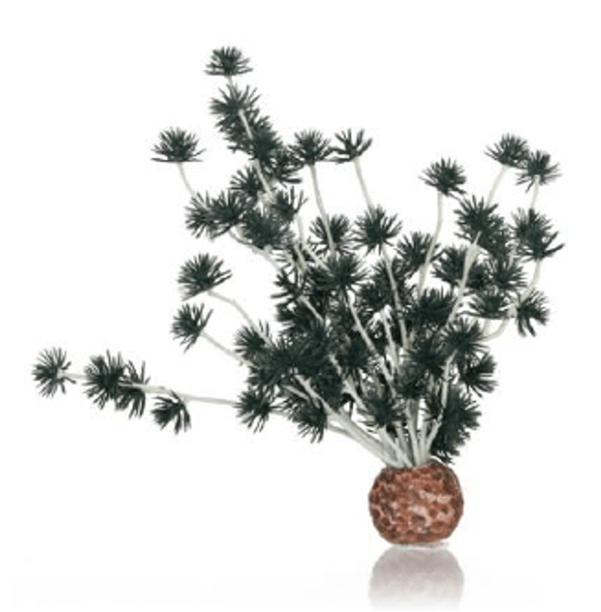 BiOrb Bonsai Ball
