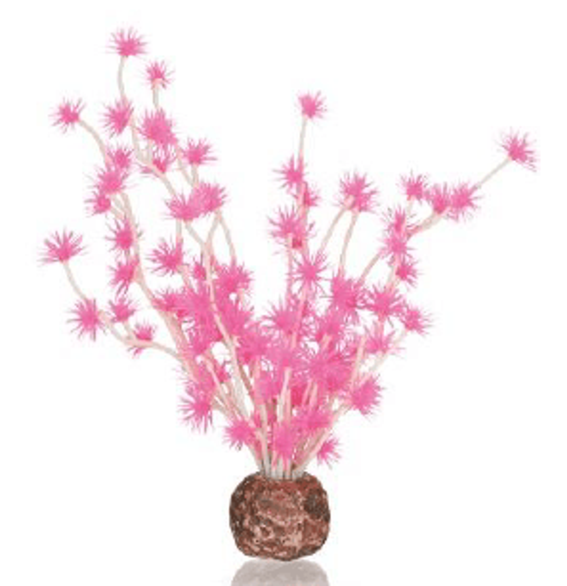 BiOrb Bonsai Ball