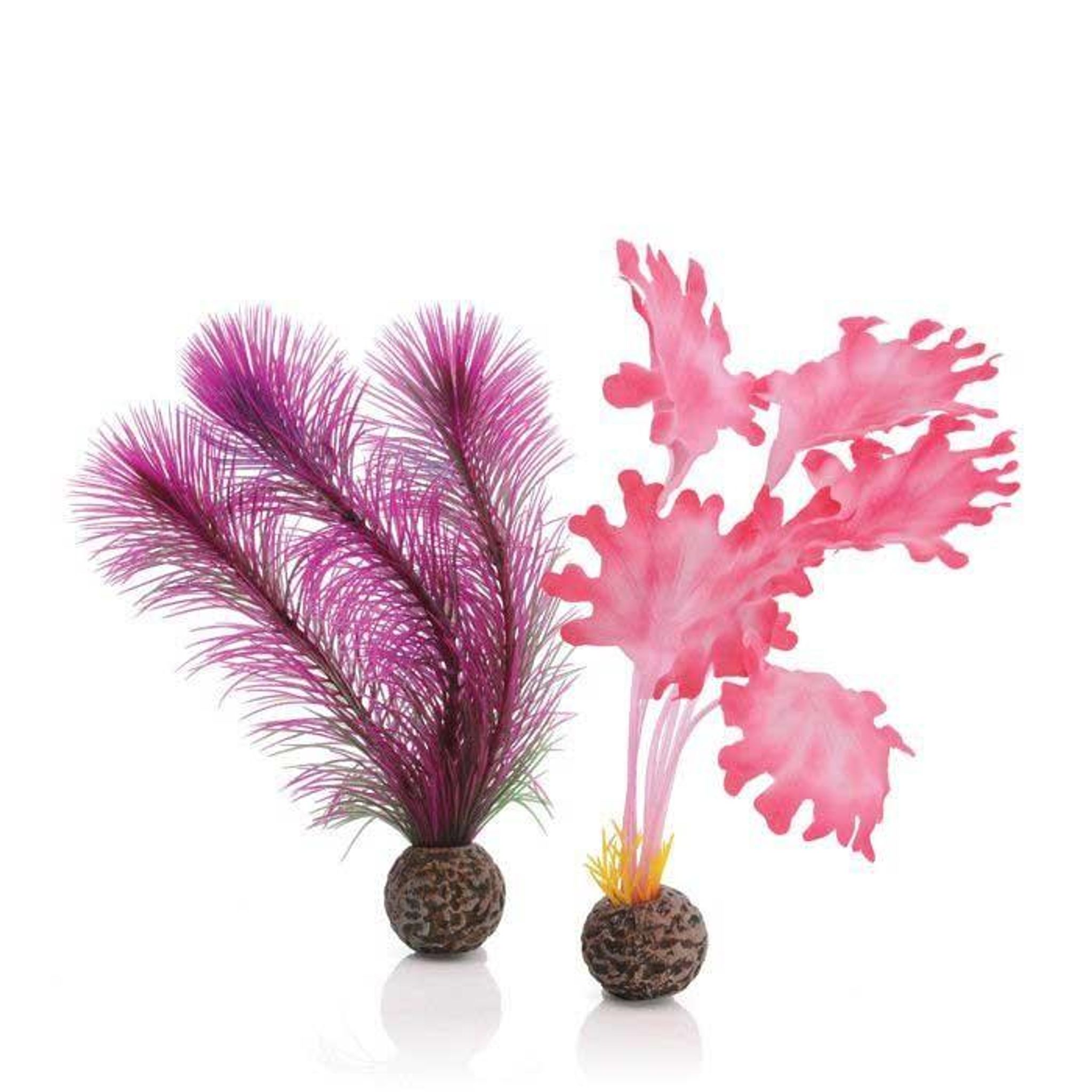 biOrb Kelp Set