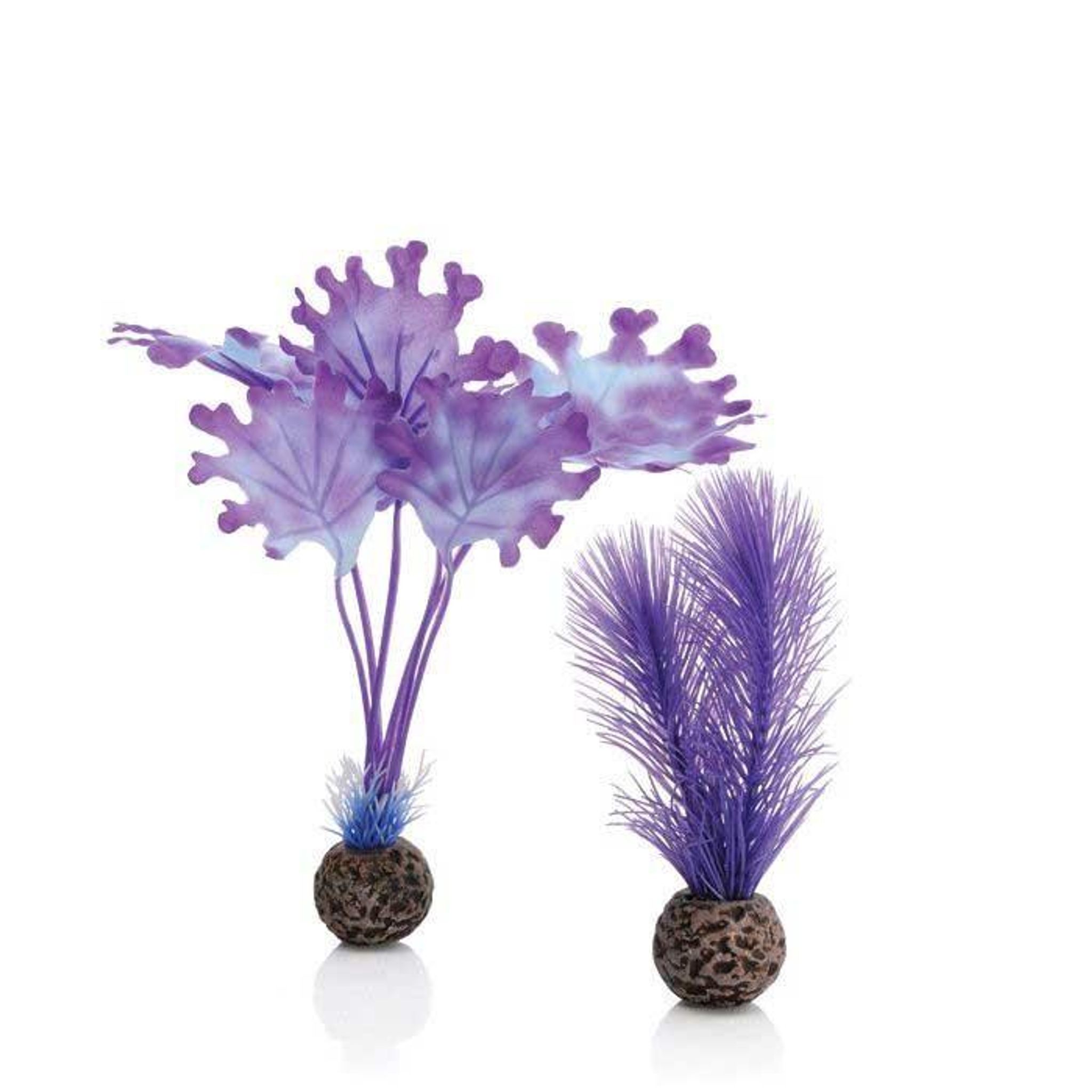biOrb Kelp Set