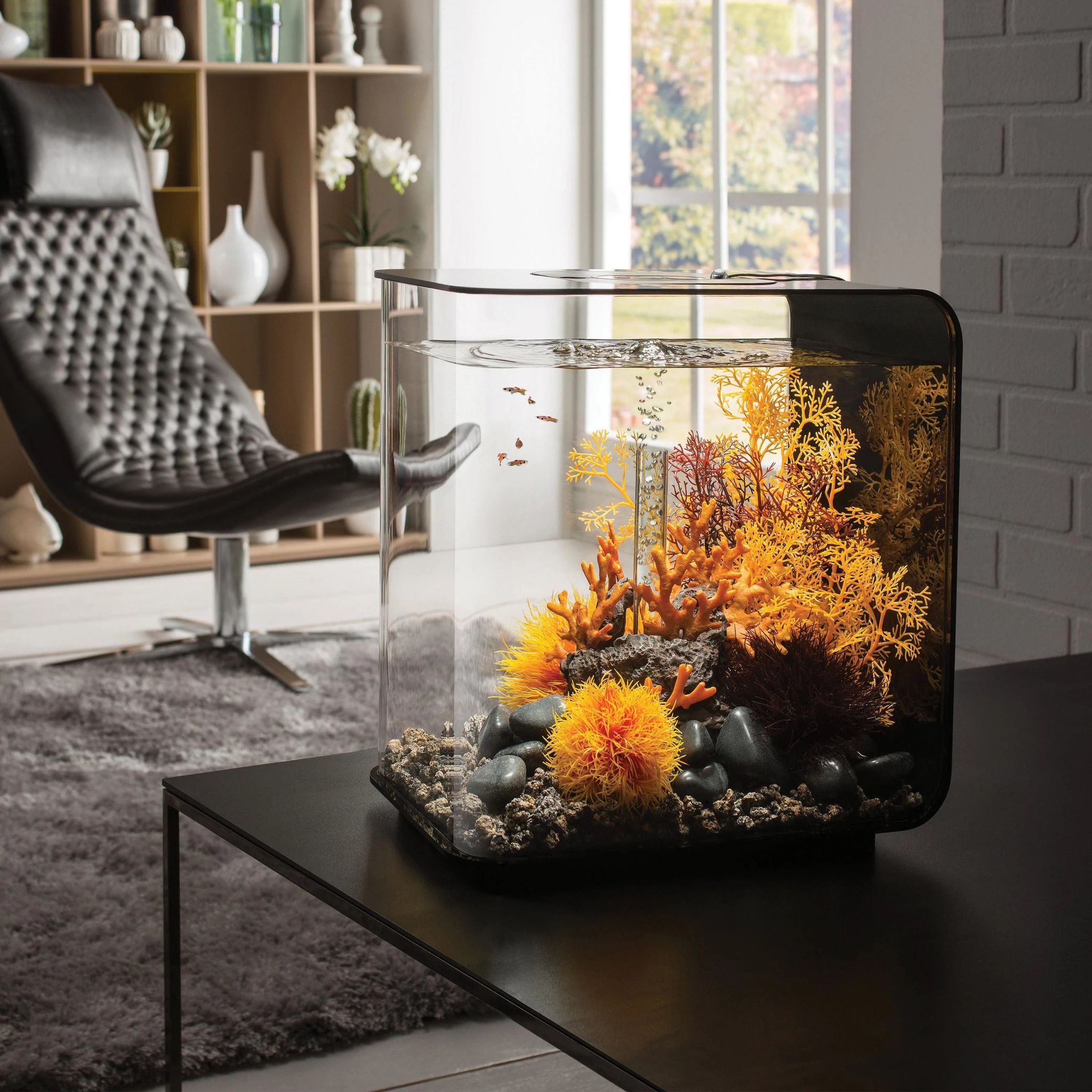 biOrb Lava rock with fire coral ornament