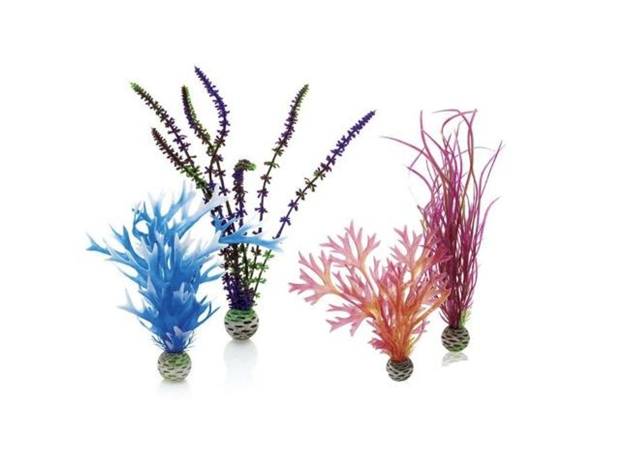 biOrb Plant Set