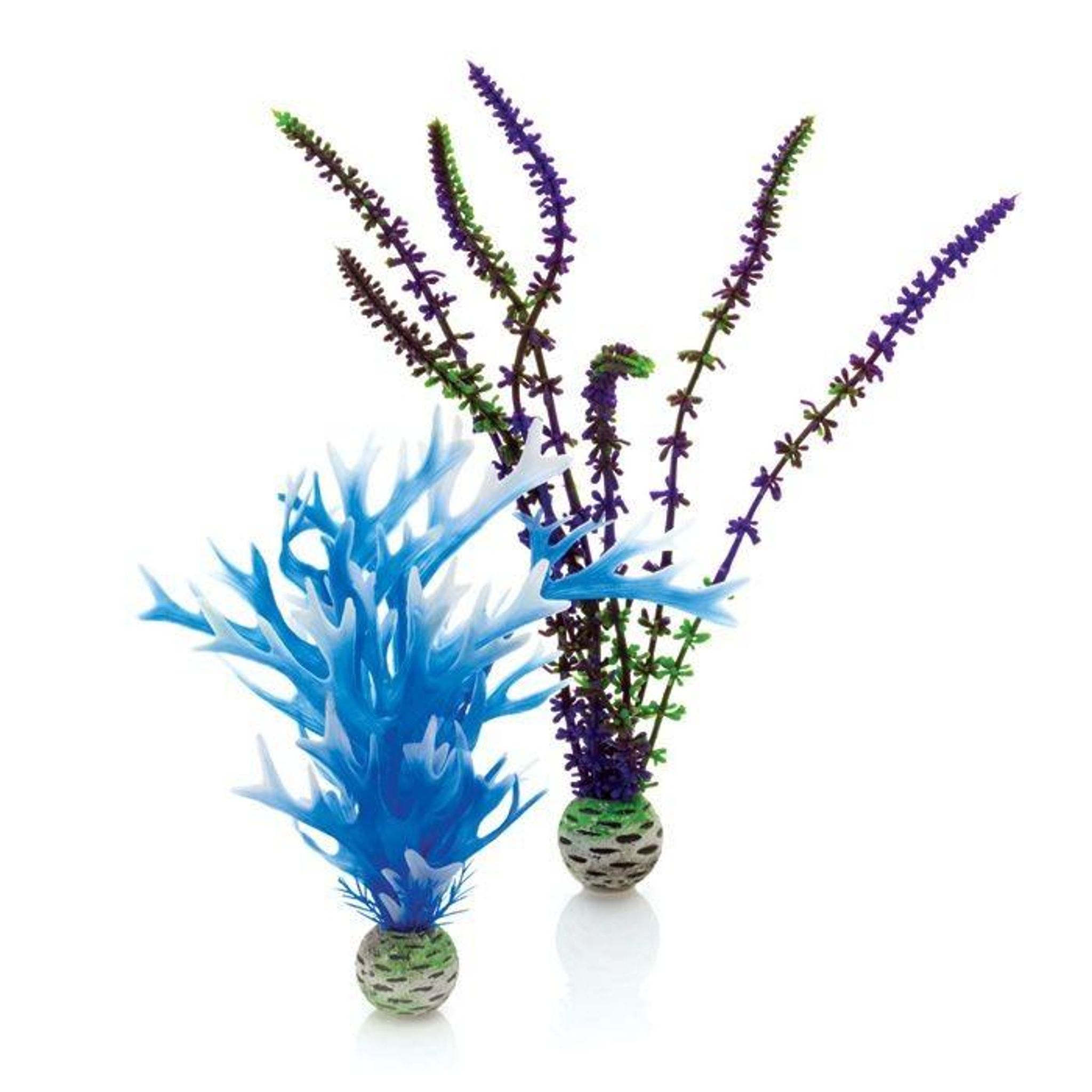 biOrb Plant Set