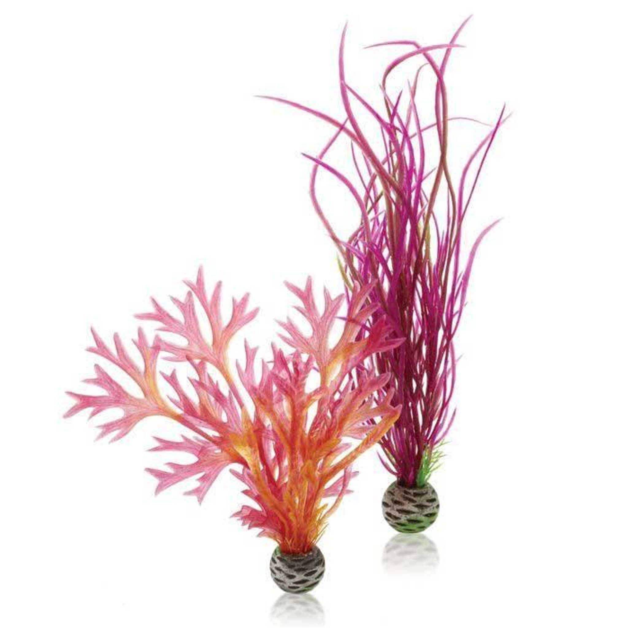 biOrb Plant Set