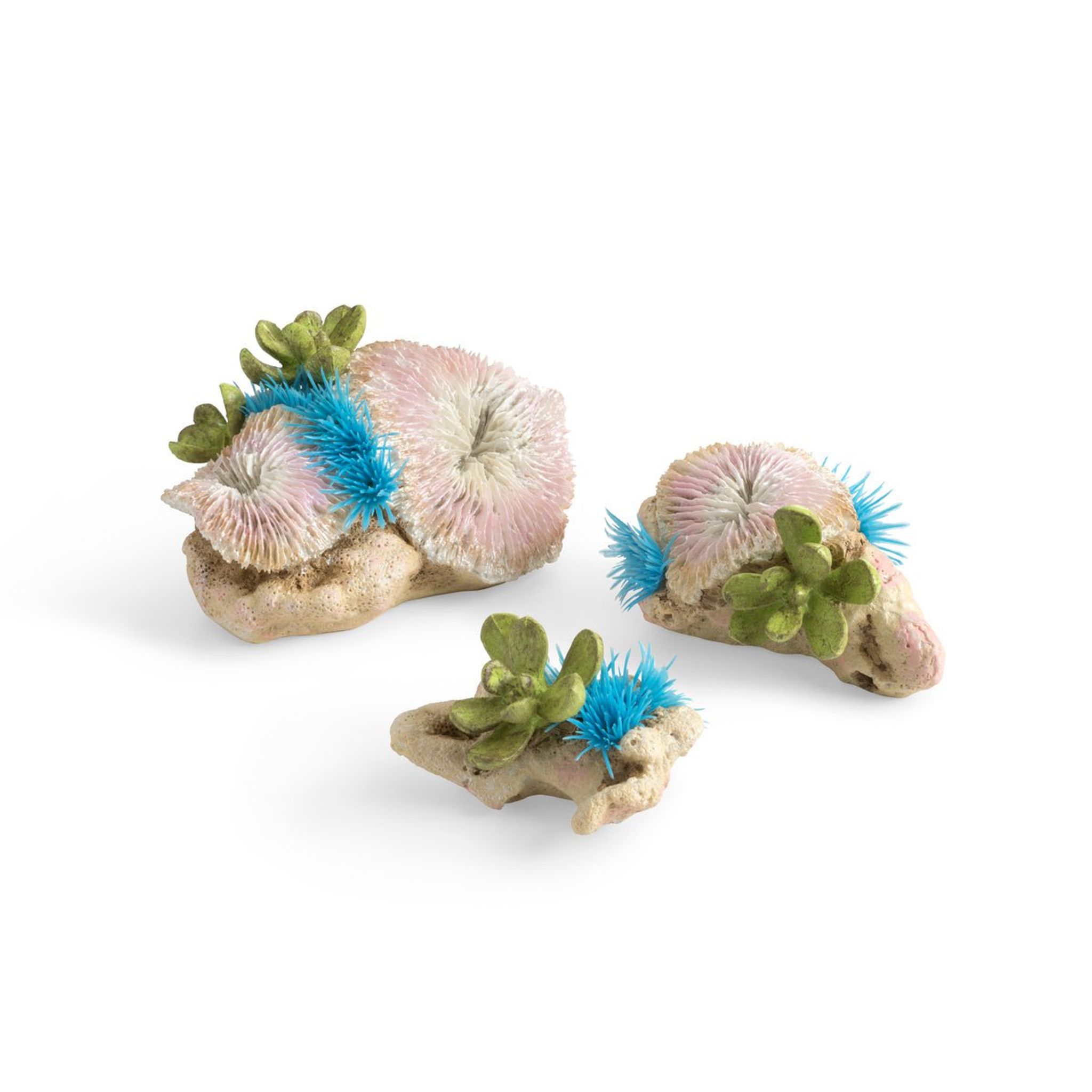 biOrb Plate Coral & Button Polyp Set