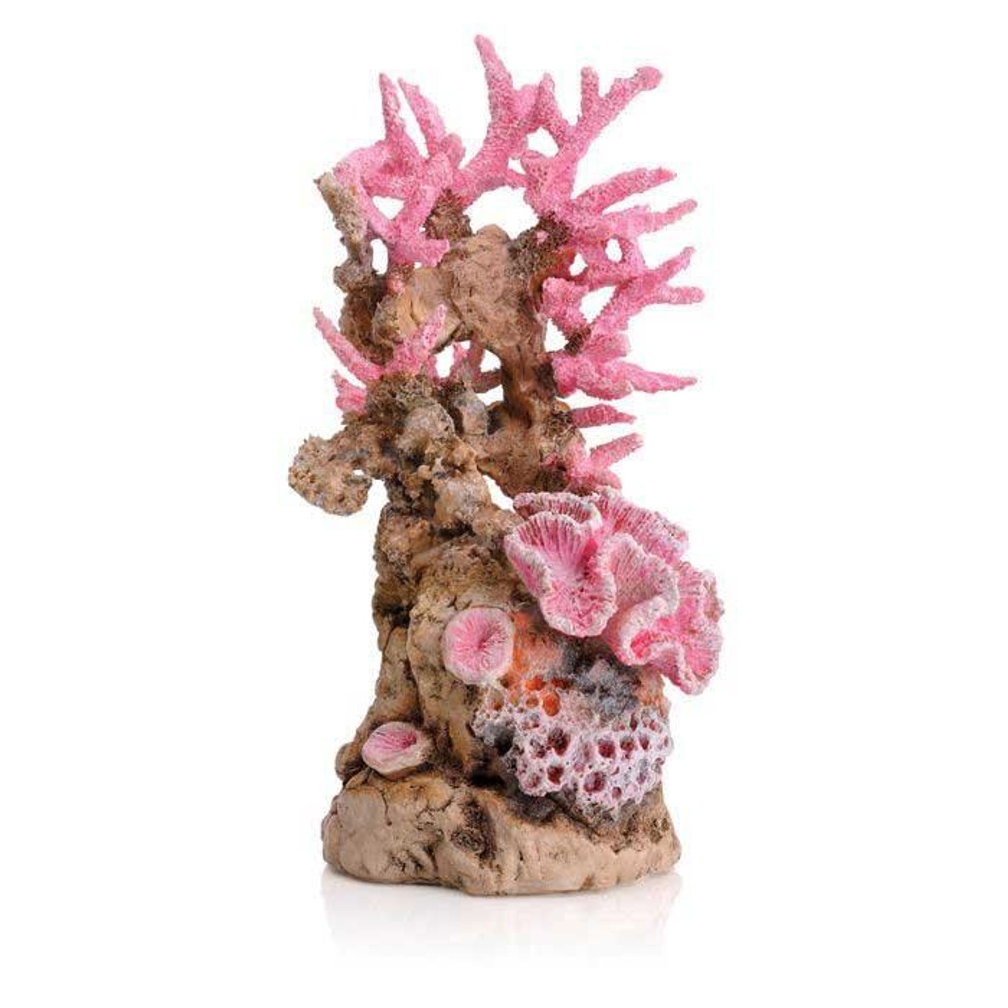 biOrb Reef Ornament (popular centrepiece)
