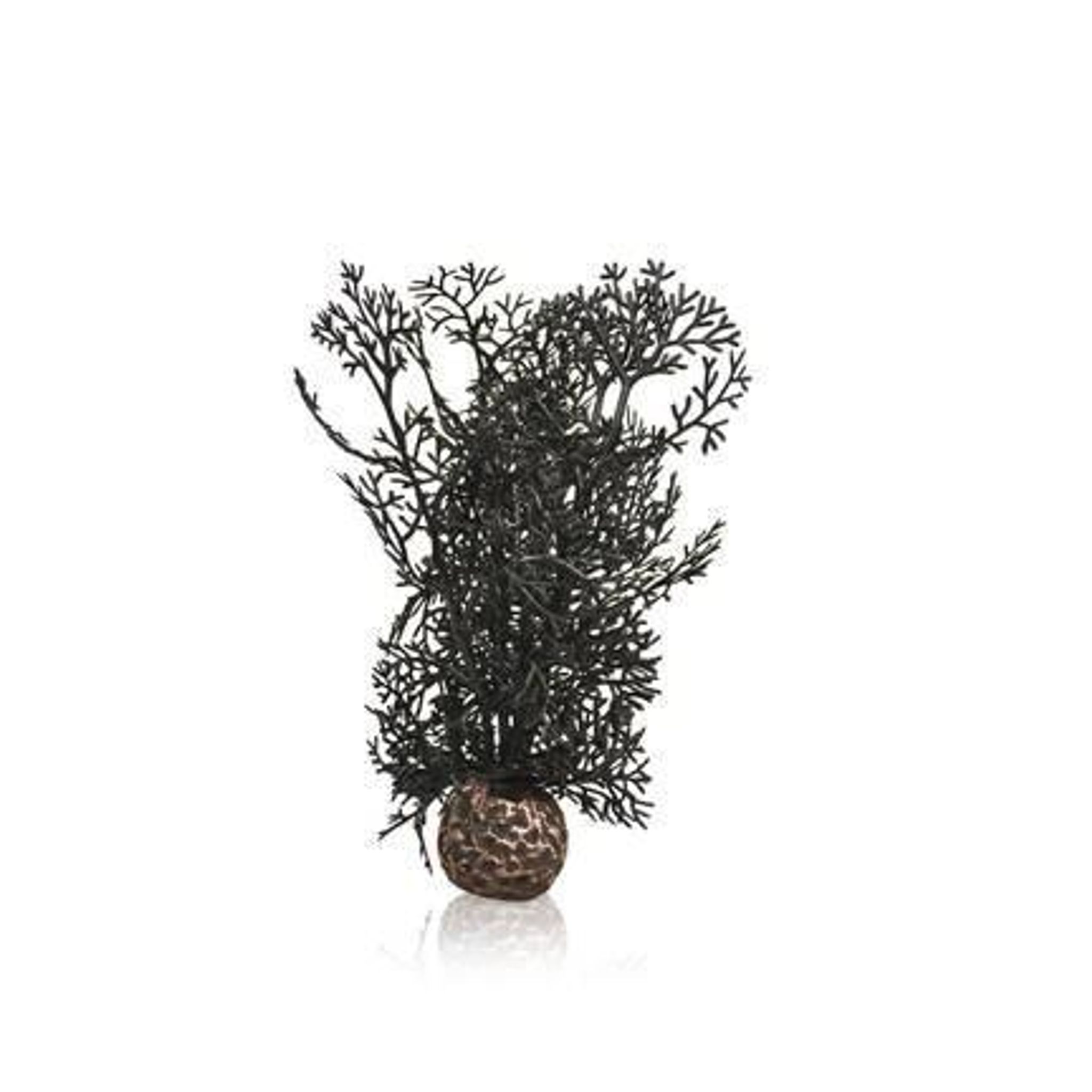 biOrb Sea Fan