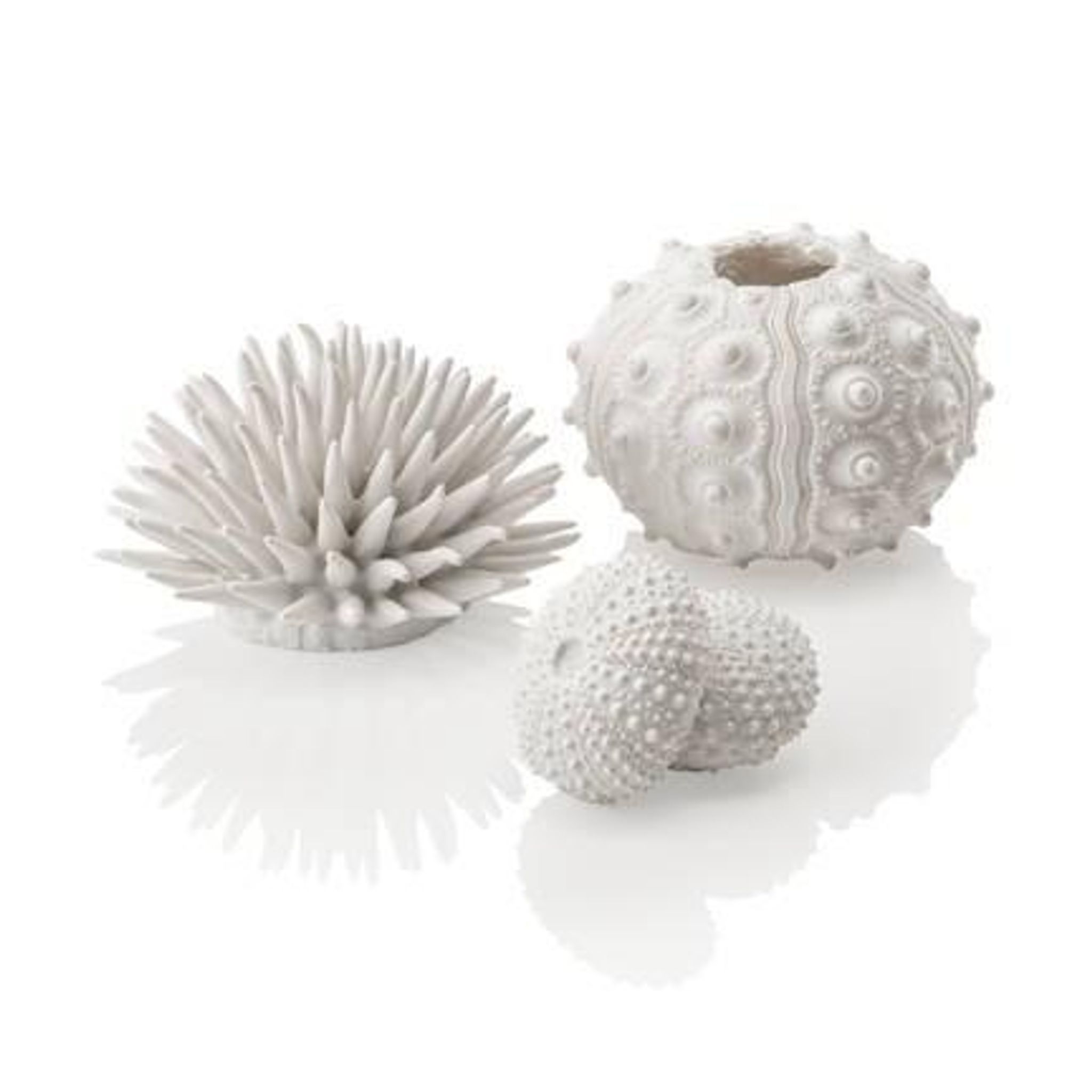 biOrb Sea Urchins Set