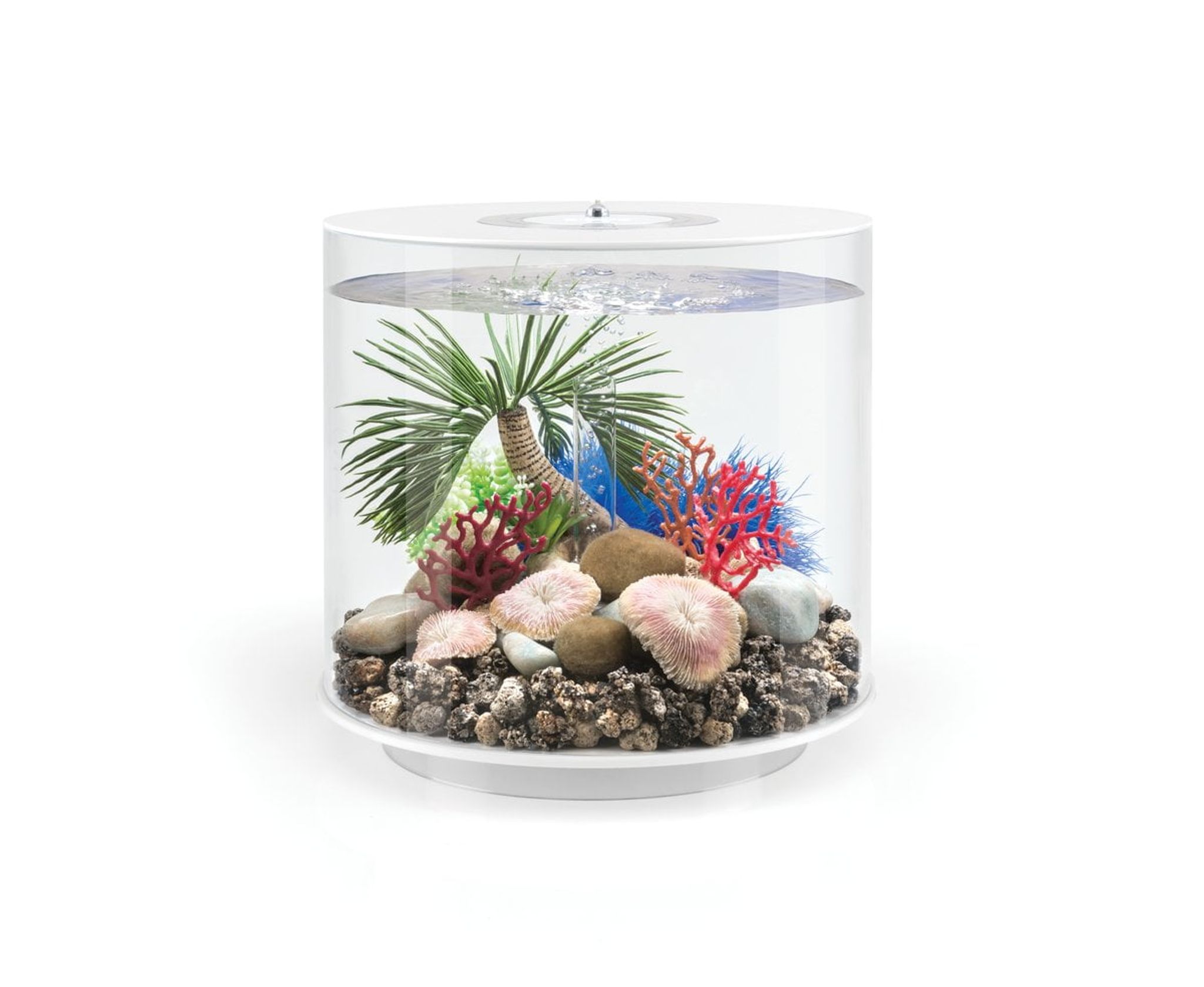 biOrb sea whip set