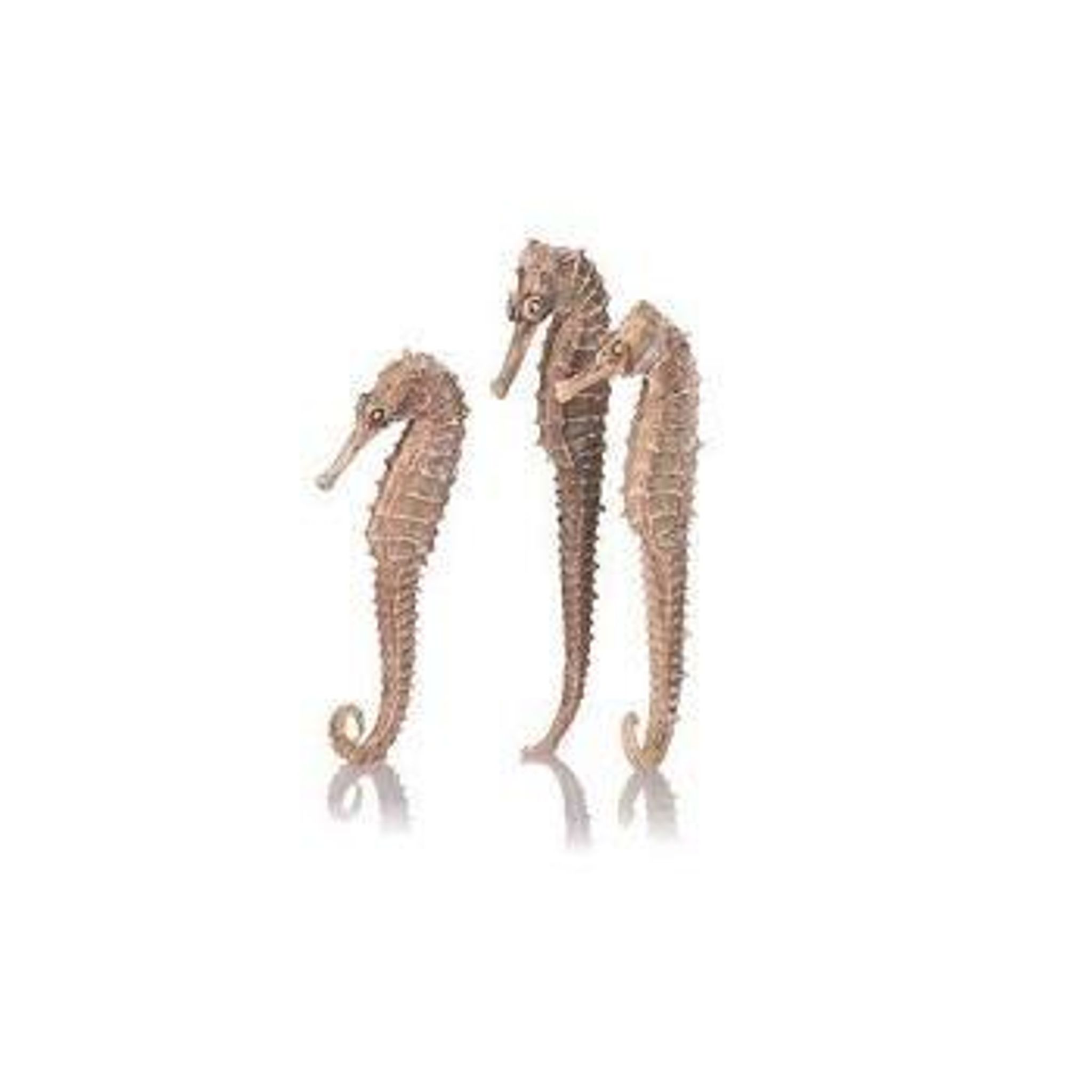 biOrb Seahorse 3 Pack