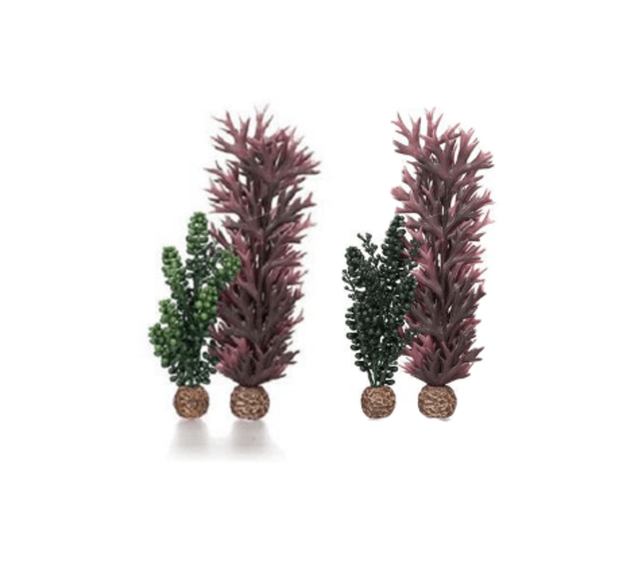 biOrb seapearls & Kelp