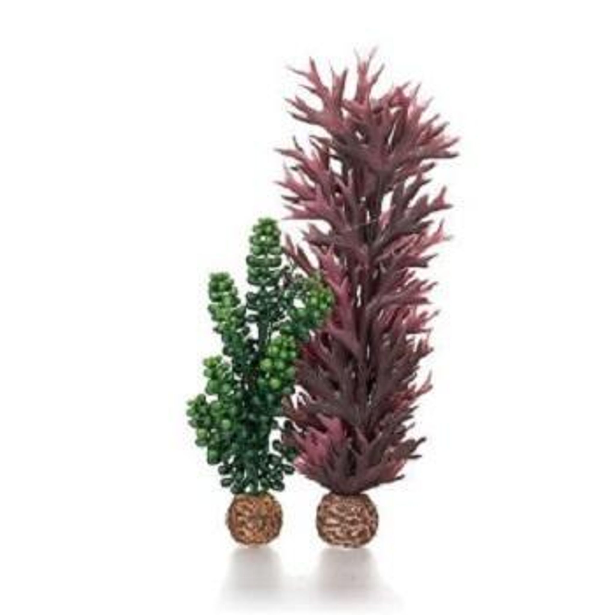 biOrb seapearls & Kelp