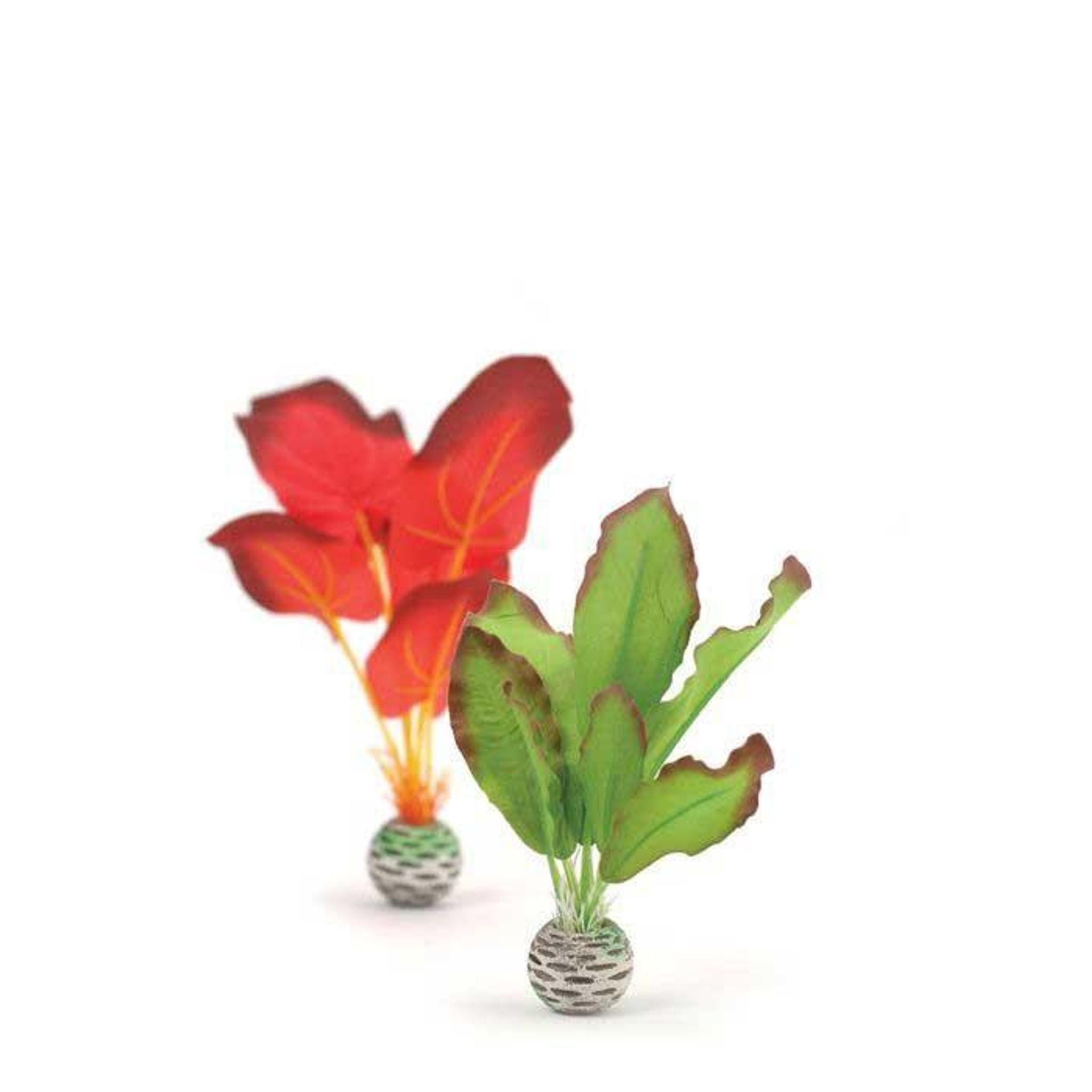 biOrb Silk Plant Set