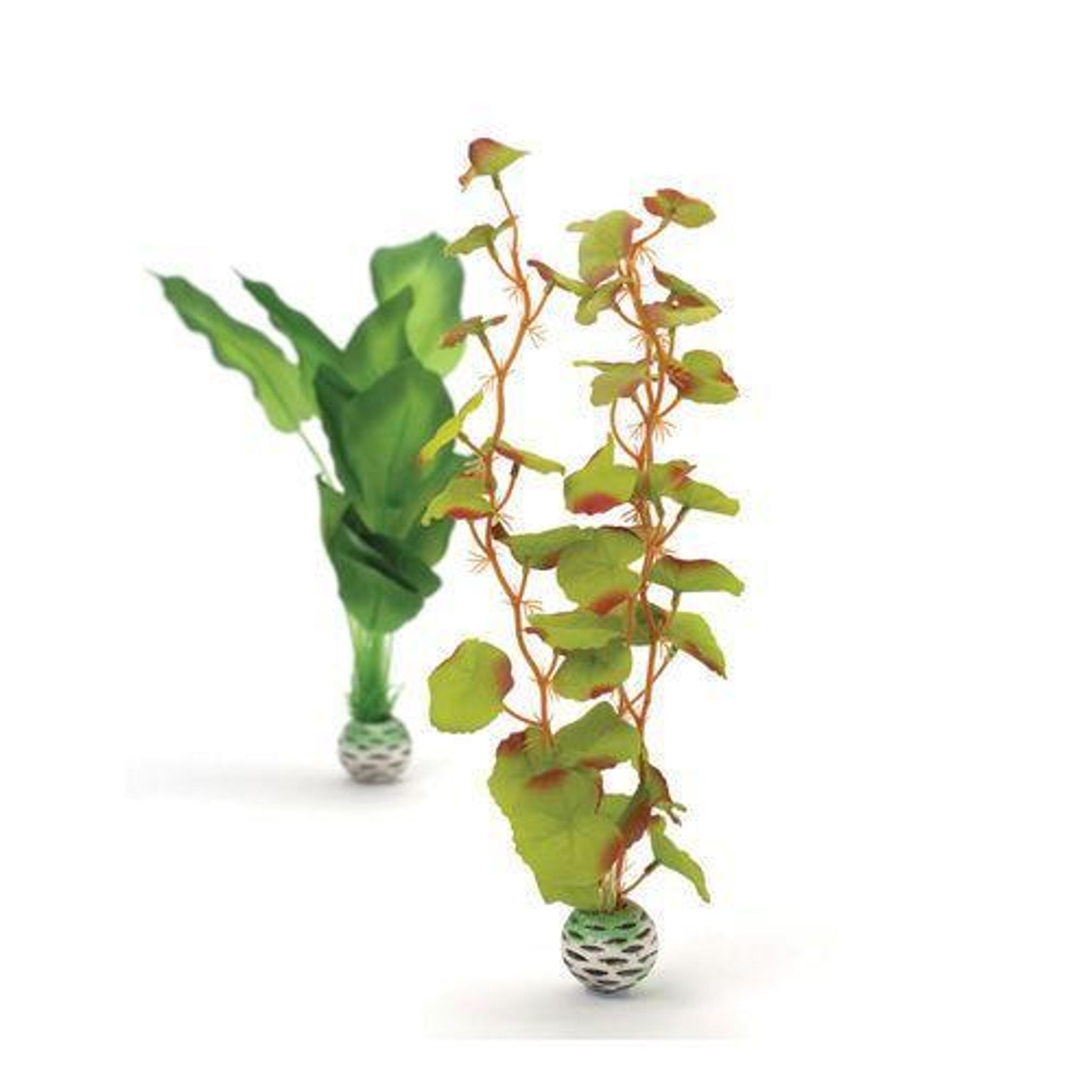 biOrb Silk Plant Set