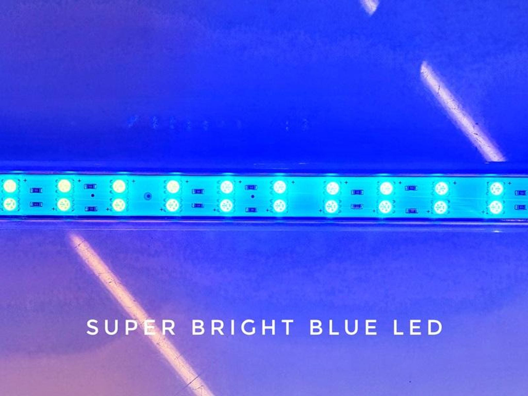 FROK Submersible Led Blue FK (40-180cm)