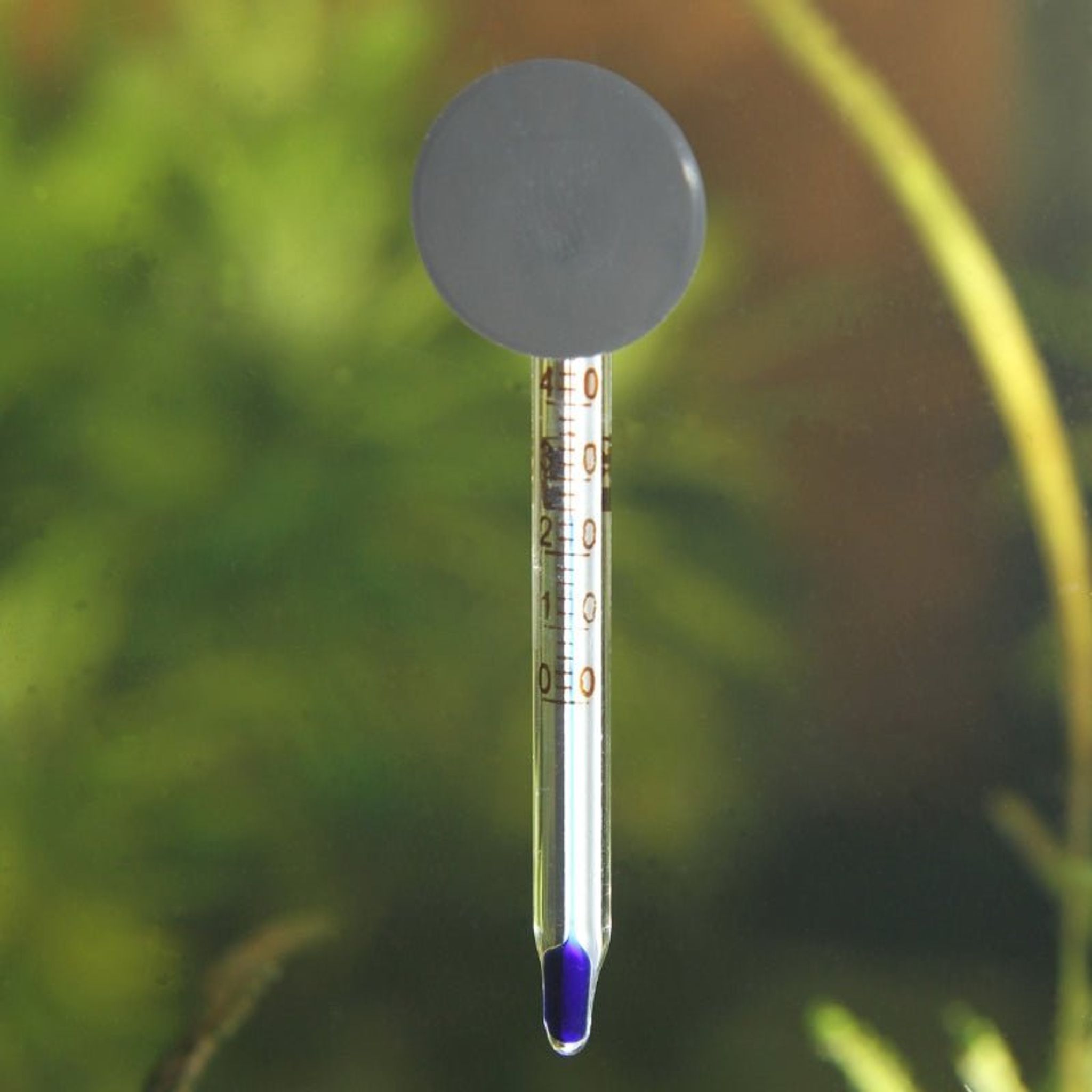 JBL Aquarium Thermometer Mini +