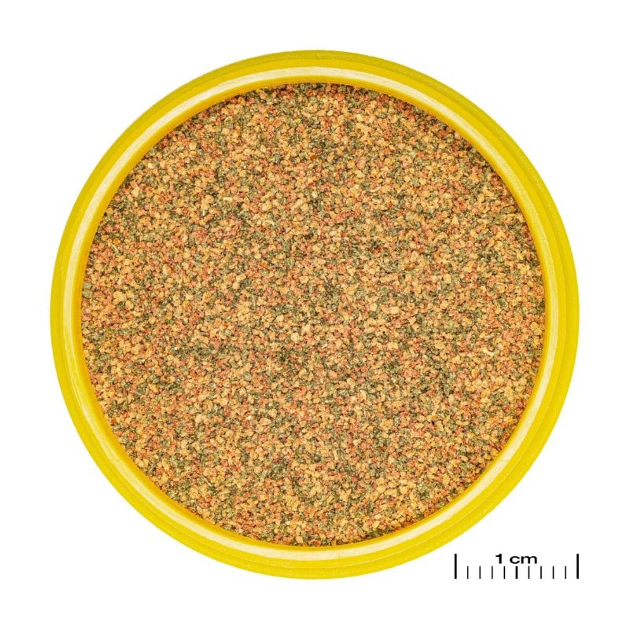 JBL ProNovo Bel Grano XXS (Granules For Very Small Fishes)