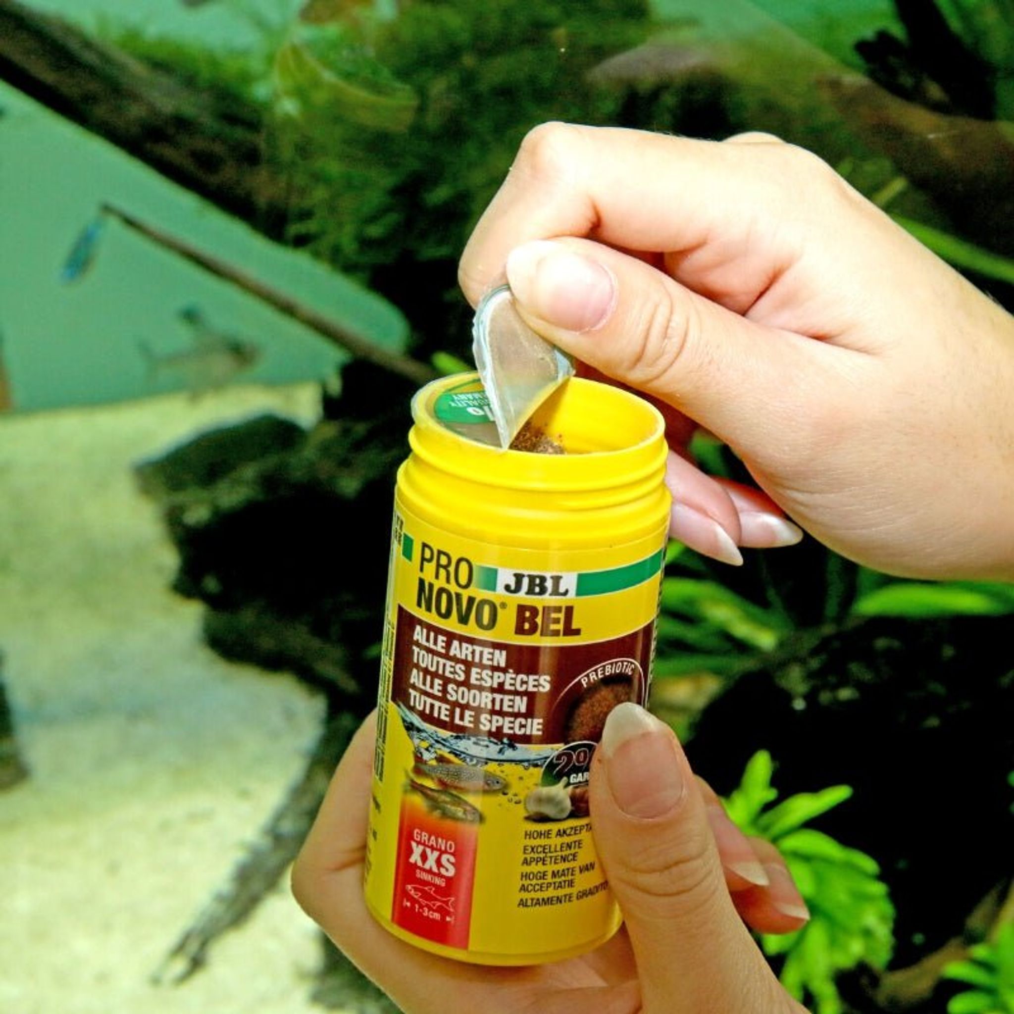 JBL ProNovo Bel Grano XXS (Granules For Very Small Fishes)