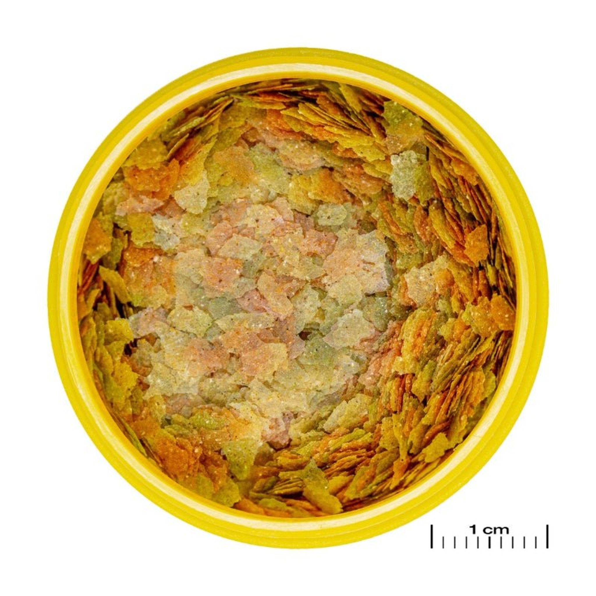 JBL ProNovo Betta Flakes S (For All Fishes)